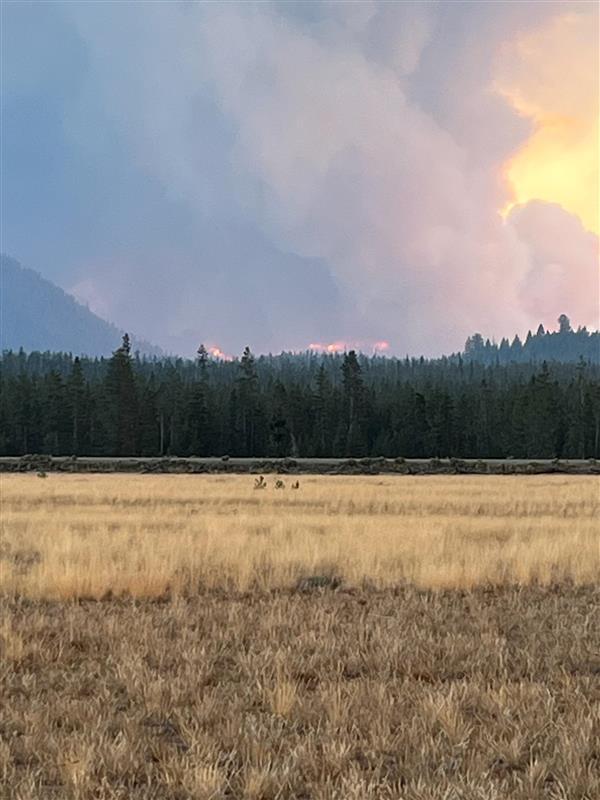 Very dark smoke column rises from mountains on 8/22