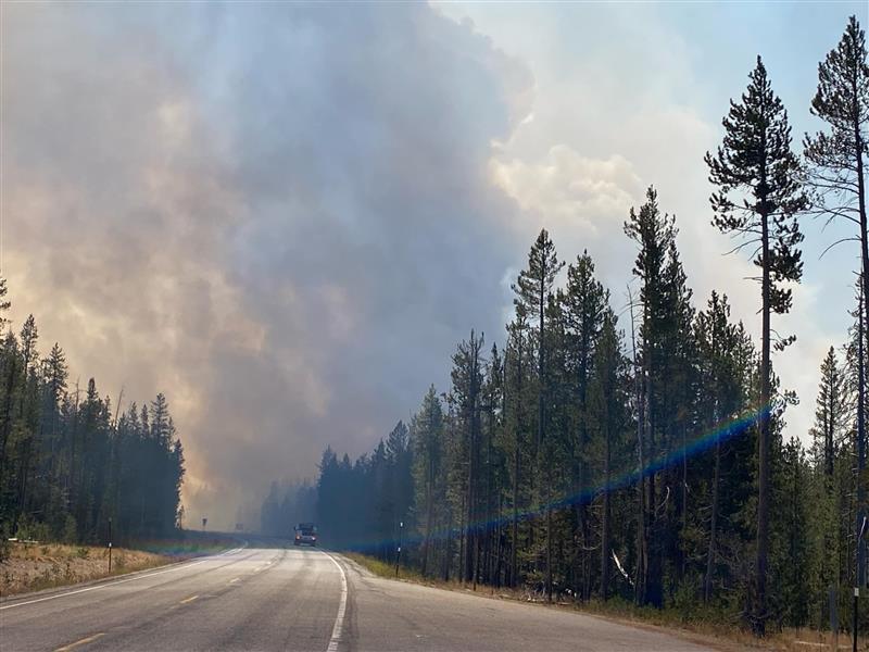 smoke above trees along hwy 21 from a firing operation 8/28