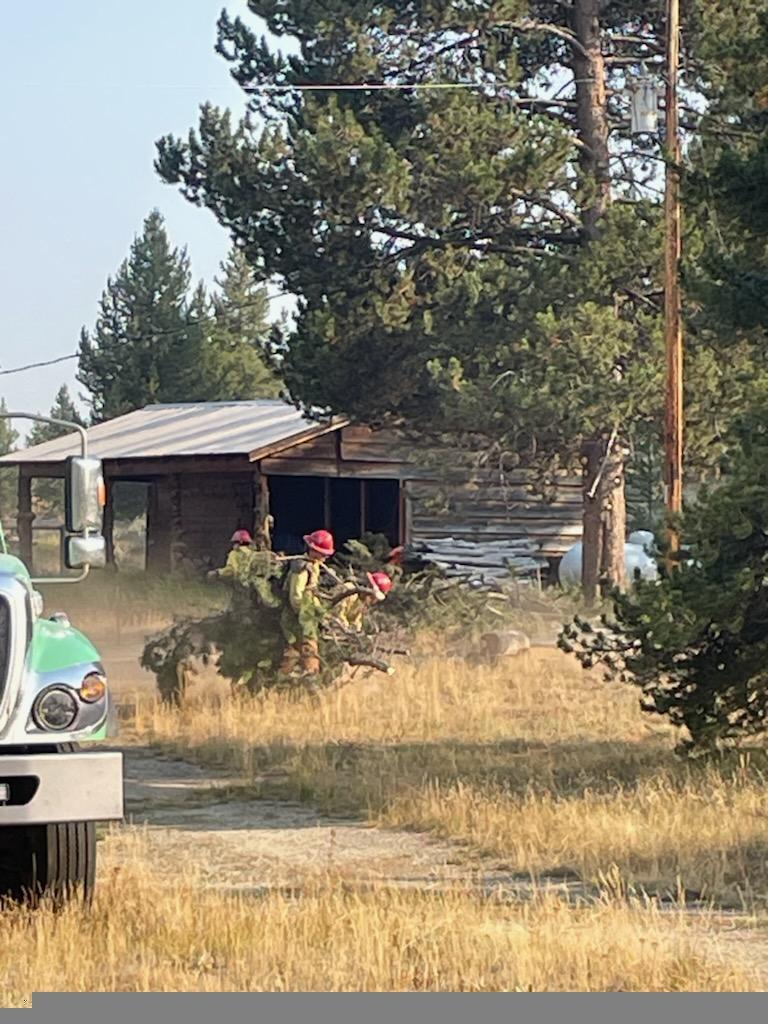 Firefighters drag a tree while Removing Vegetation During Structure Protection, August 26