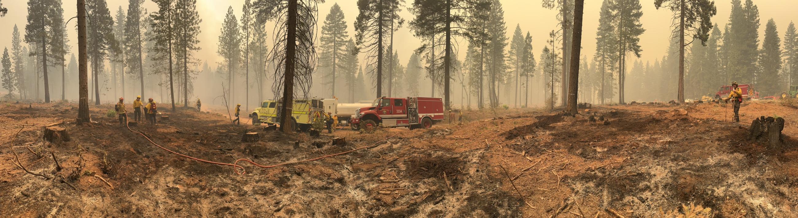 firefighters and fire engines are spread out along a forest road mopping up smoldering fires