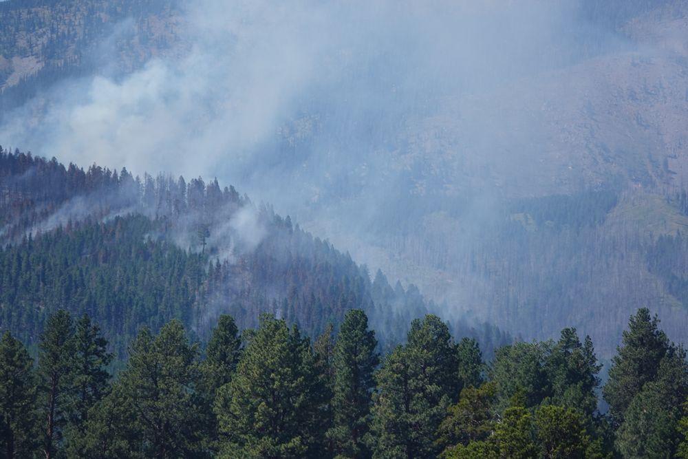 Forested mountainside mostly obscured by rising white smoke