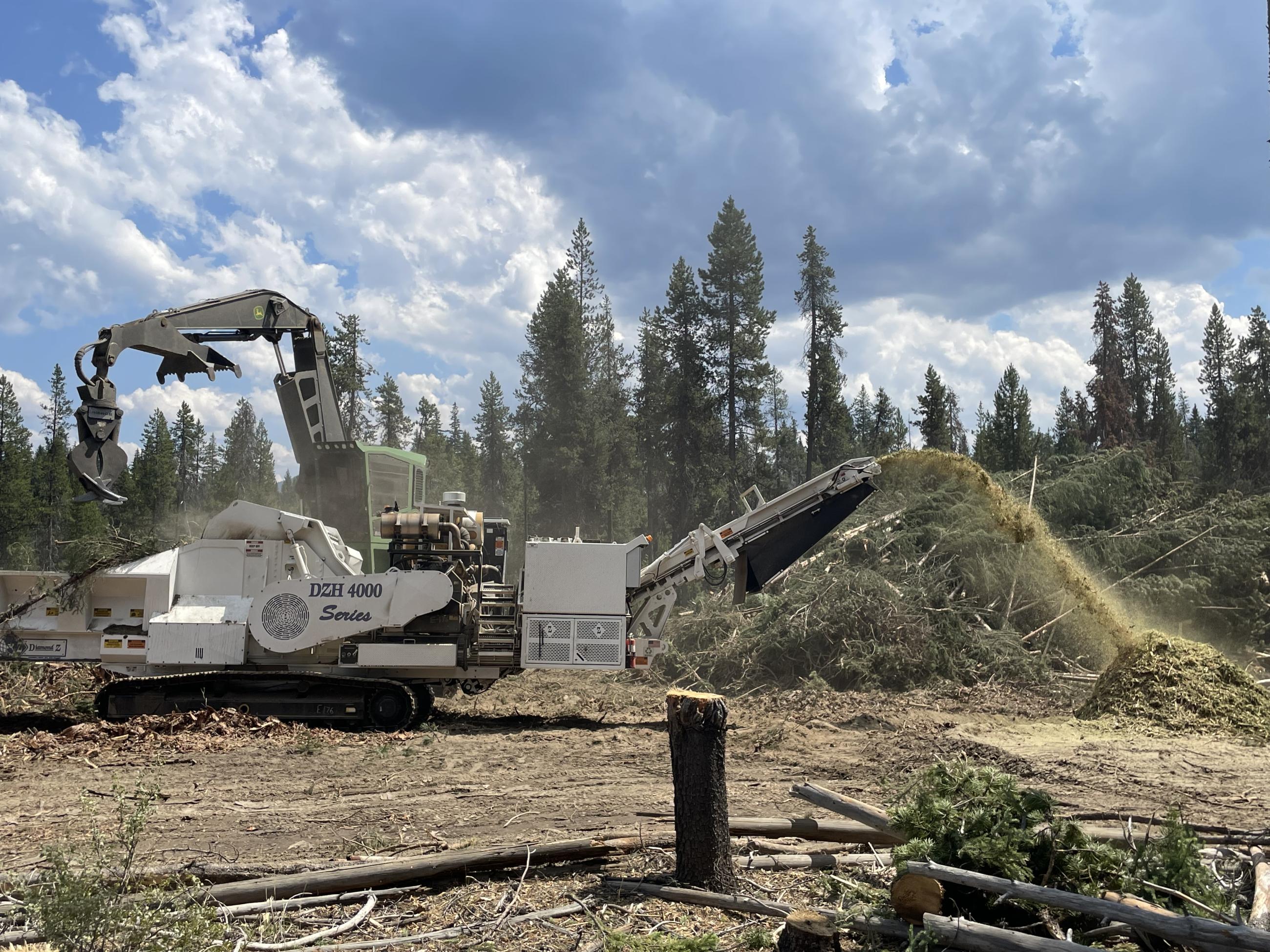 A shovel log loader lifts woody debris and places it into the tub grinder which chips it. 