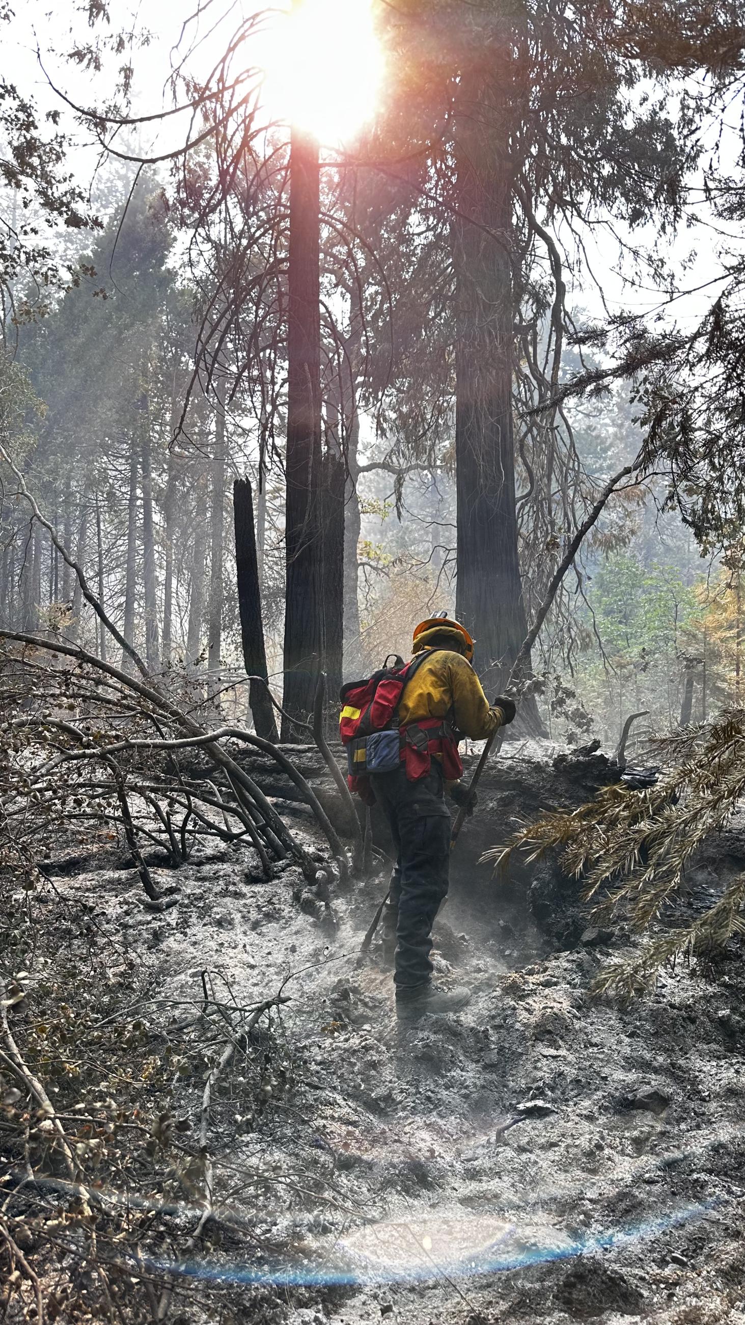 A firefighter digs in the ground among ashes to extinguish a hot spot