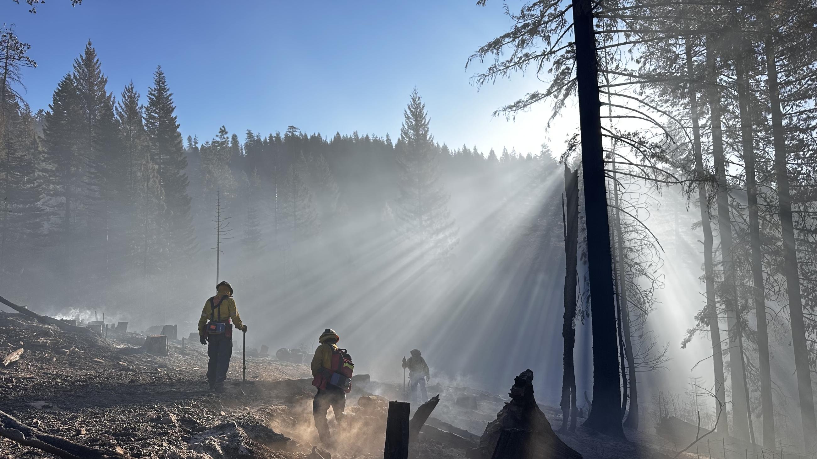 Firefighters walk trough a burned area searching for hot spots to extinguish while sunrays are seen in the smoke