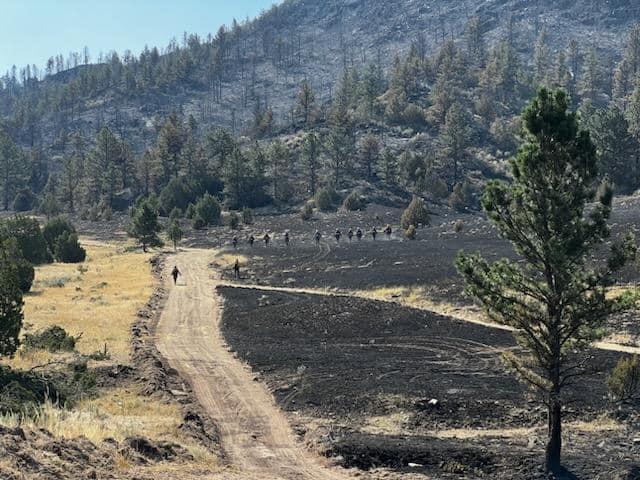 Firefighters walk in a line through a burned area searching for hot spots. 