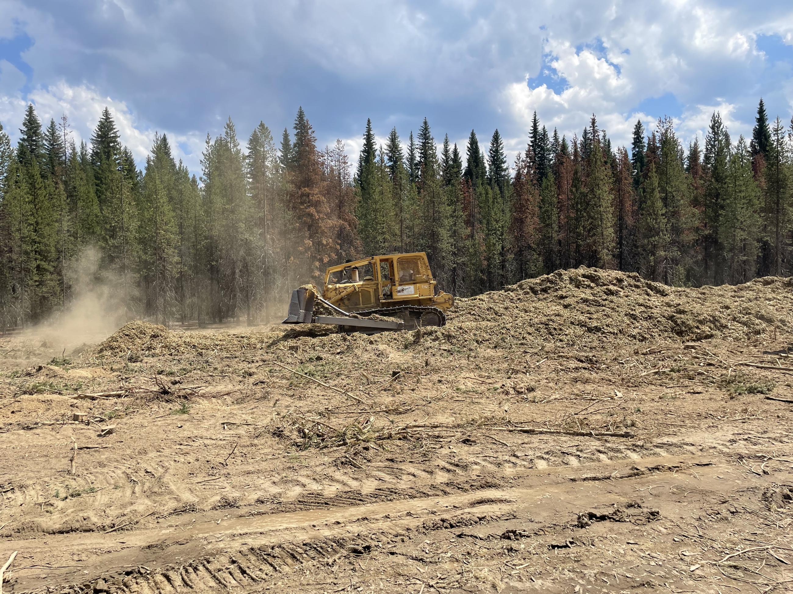 A dozer pushes wood chips to spread them across the ground.