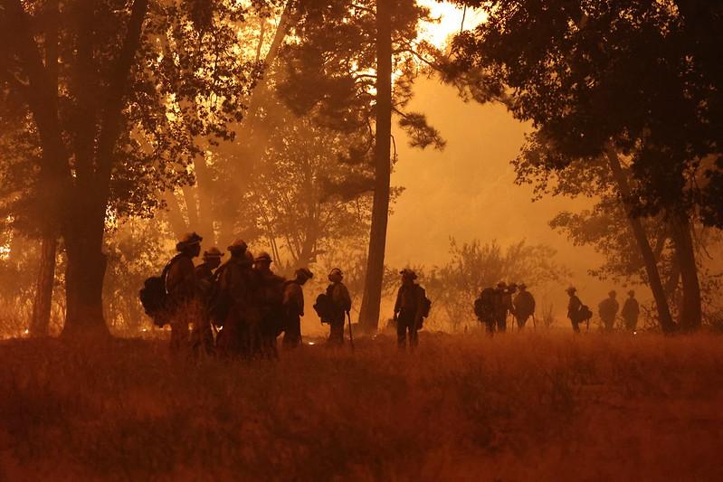 Night Crew on Park Fire Amid The Flames