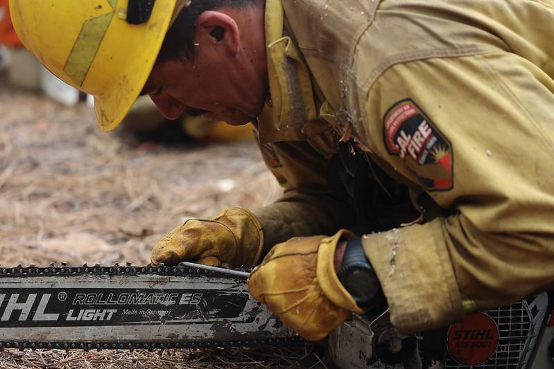 Firefighter Sharping Chainsaw on Park Fire