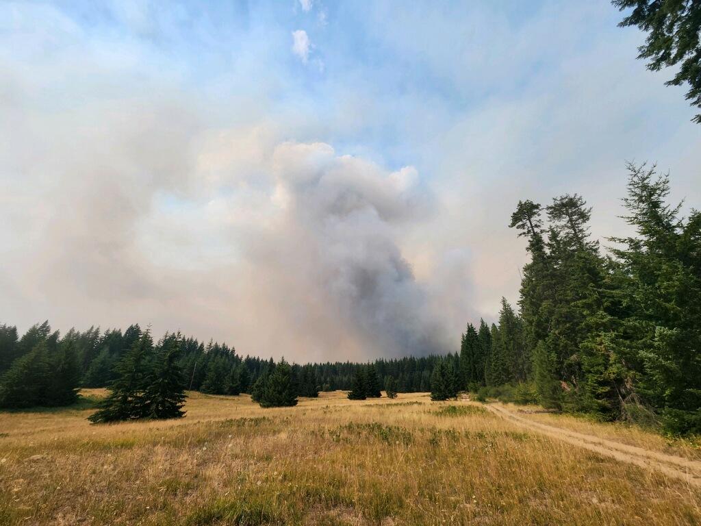 View of the fire from the Mt. Adams Horse Camp on 8/8/24