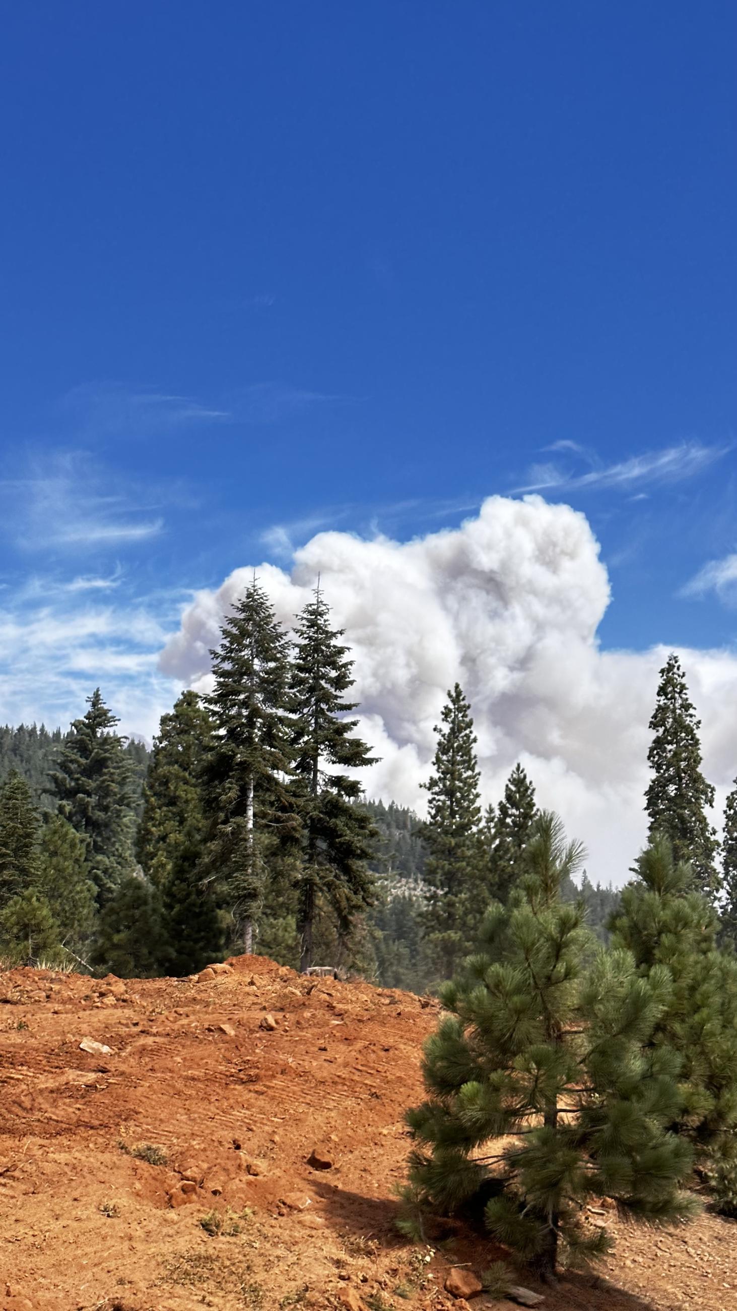 a very large smoke column in the distance  from the Park Fire