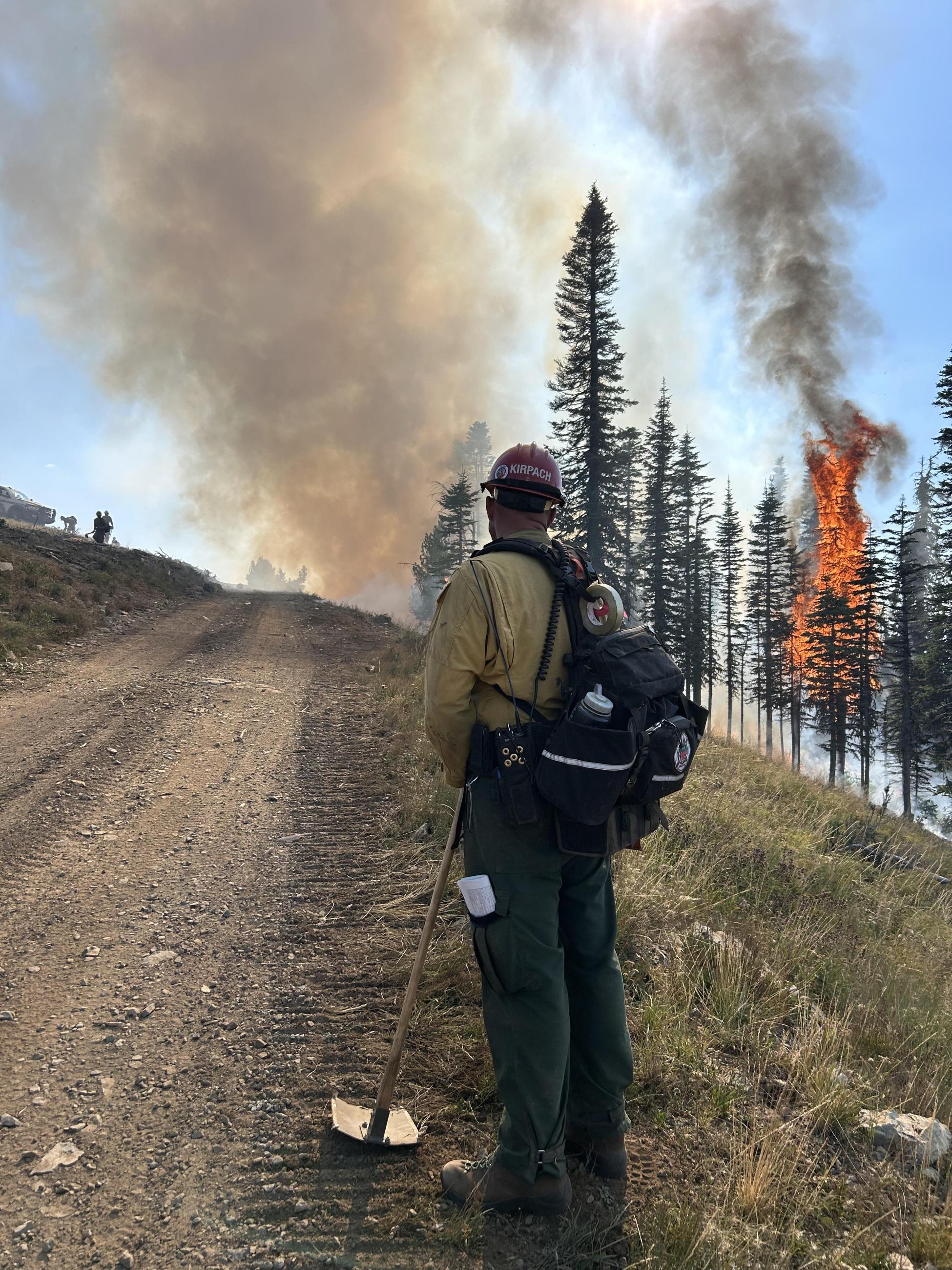 firefighter standing along road with tree burning in background