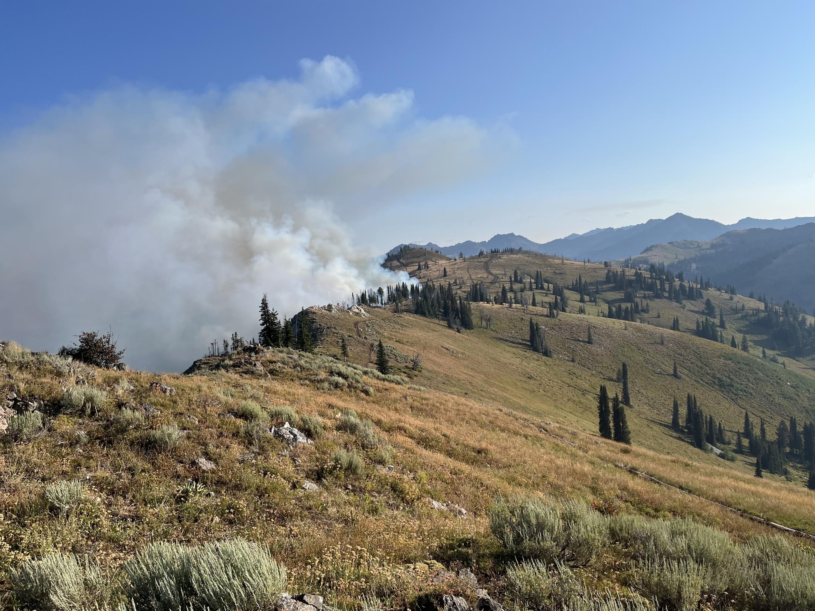 Burning Ops at Haley Ridge, August 16, 2024