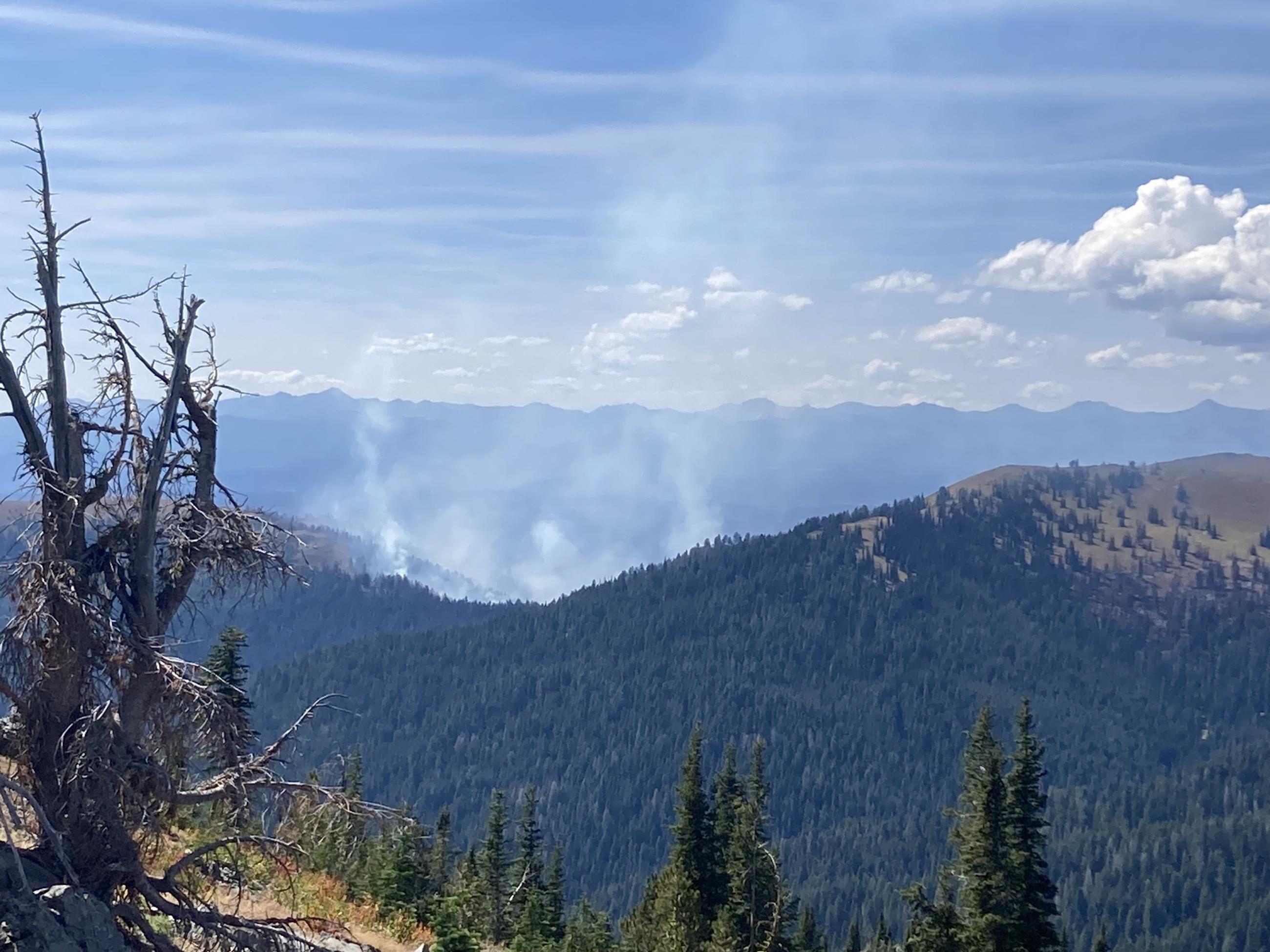 View of Lockwood Saddle from Smith Mtn, August 21, 2024