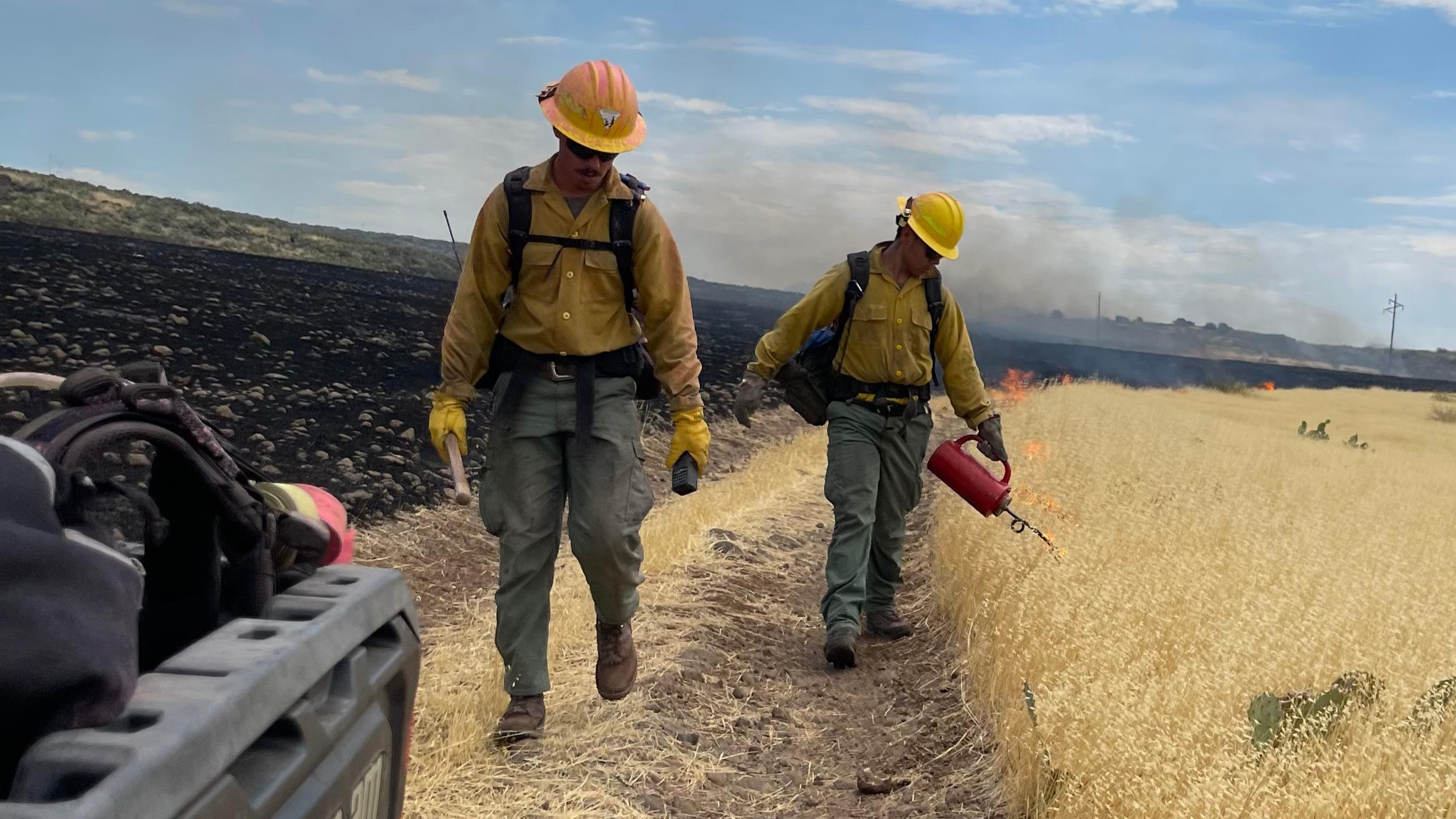 two firefighters in yellow shirts, green pants, and yellow hard hats. One firefighter uses a red driptorch to light a fire in yellow grass.