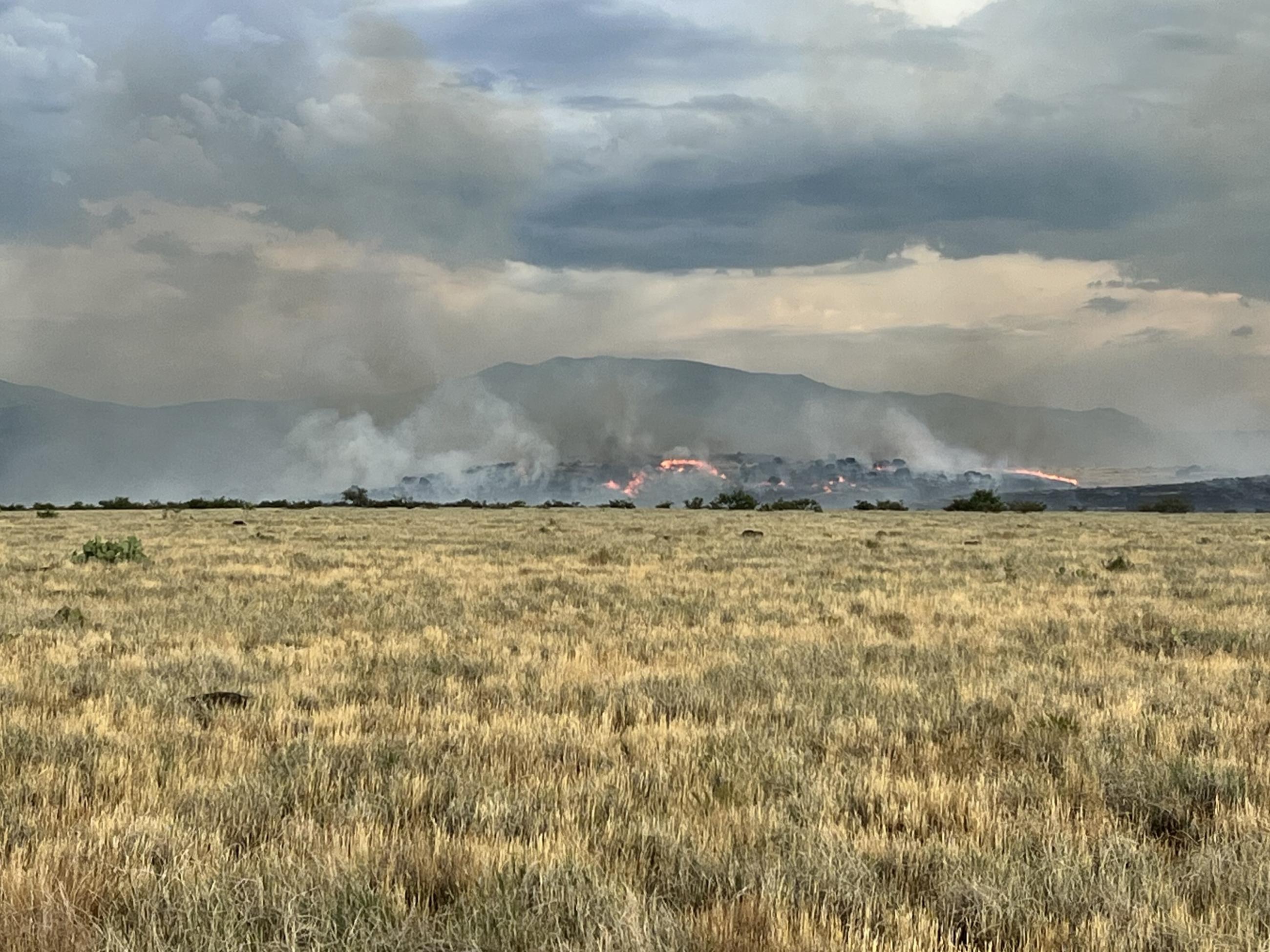 a field of yellow grass with a distant ridge with fire and smoke