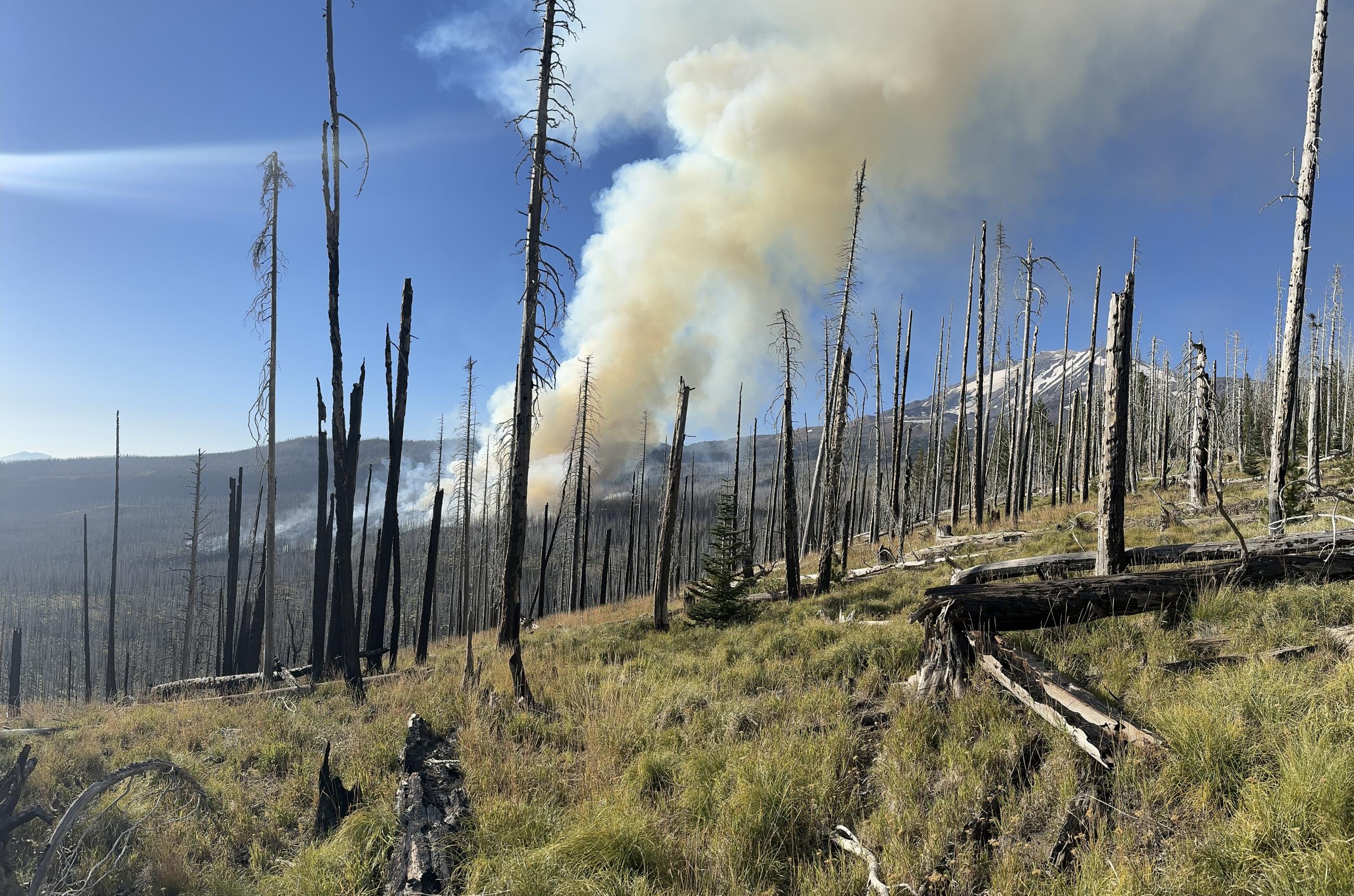 A view of the area actively burning in the Mt. Adams Wilderness on 8-30-24