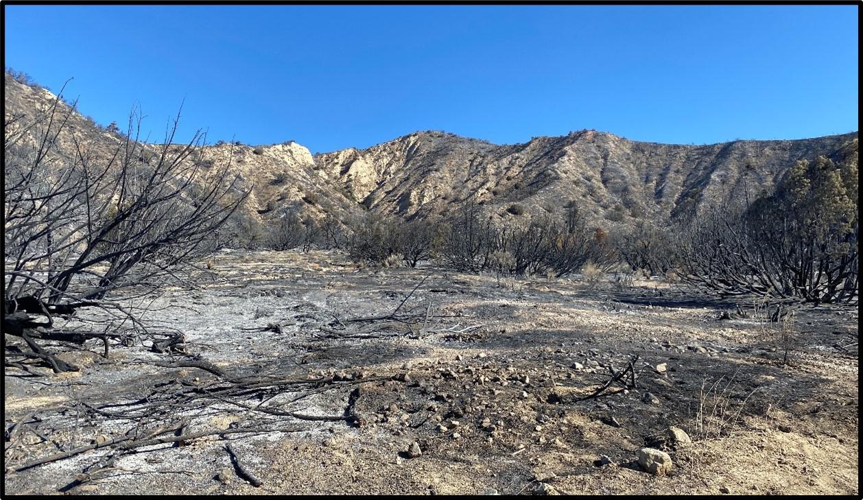 Image showing the Apache Fire Burned Area