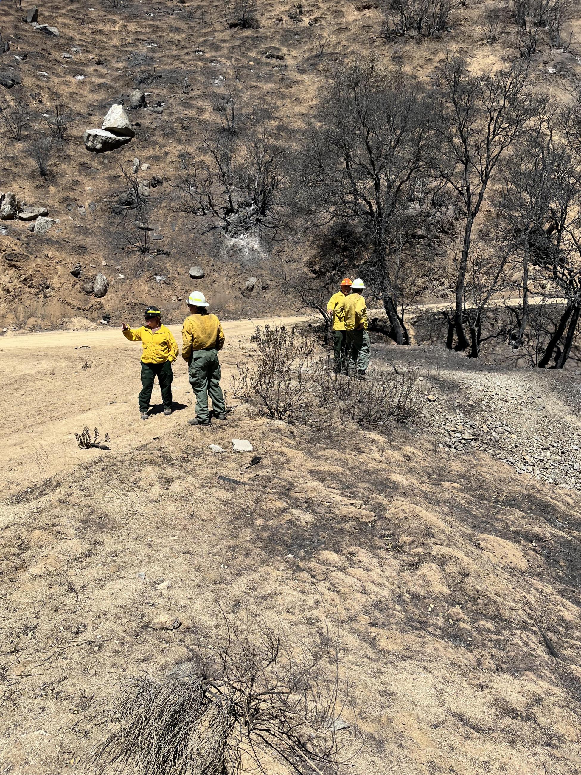 Image showing Baer team members looking at drainages and mine waste rock west of Havilah in the Borel Burn Area