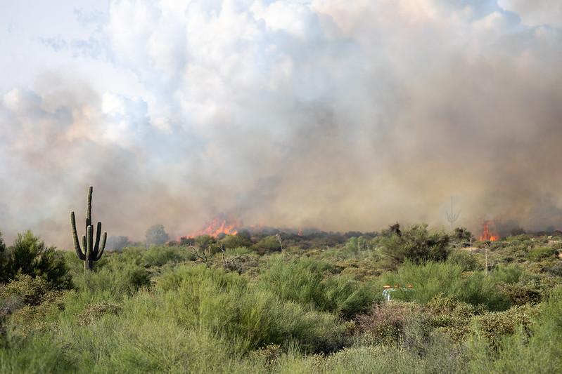 Bartlett Fire in Sonoran Desert