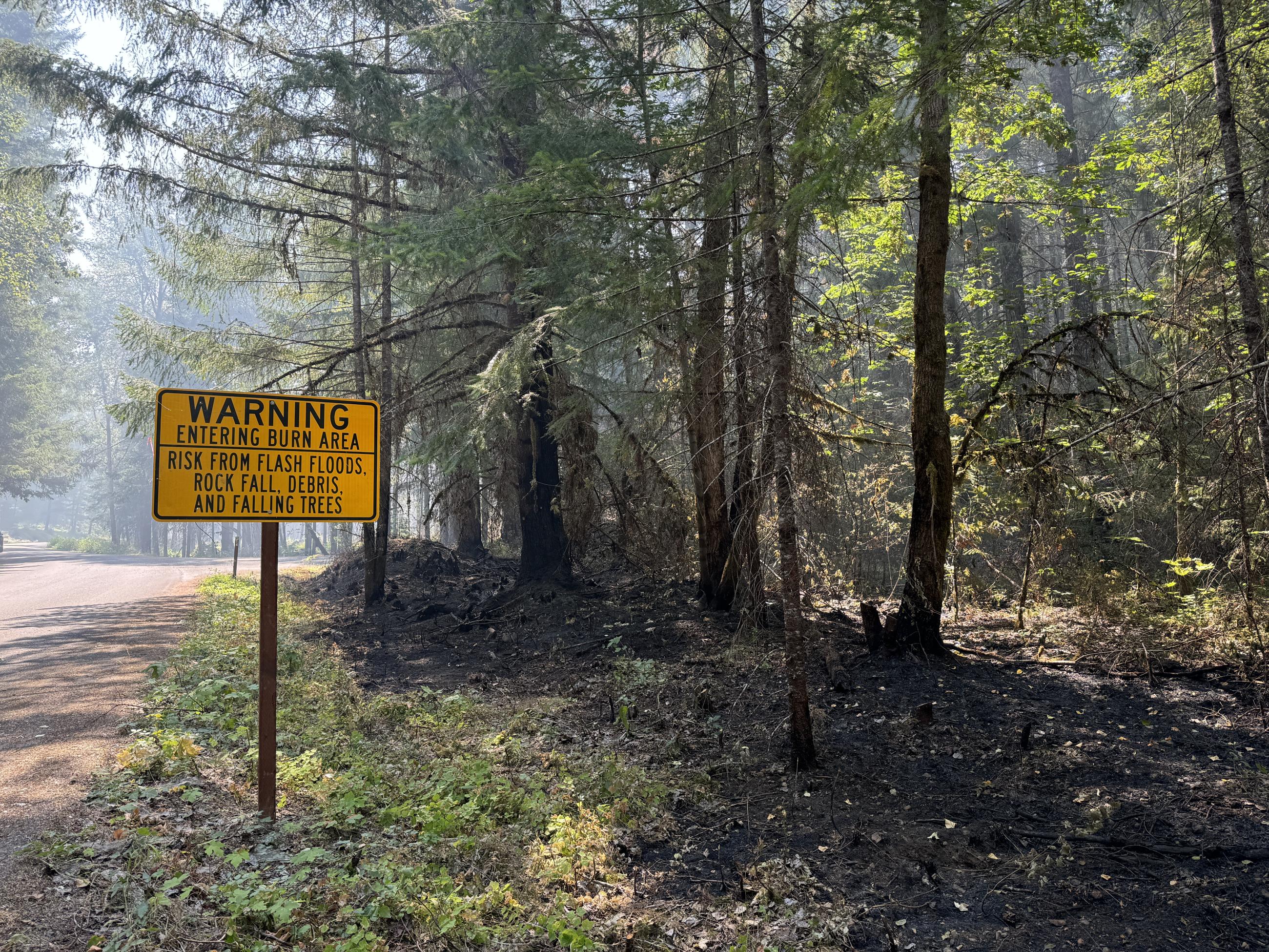 a burn hazard sign sits next to a burned edge of forest