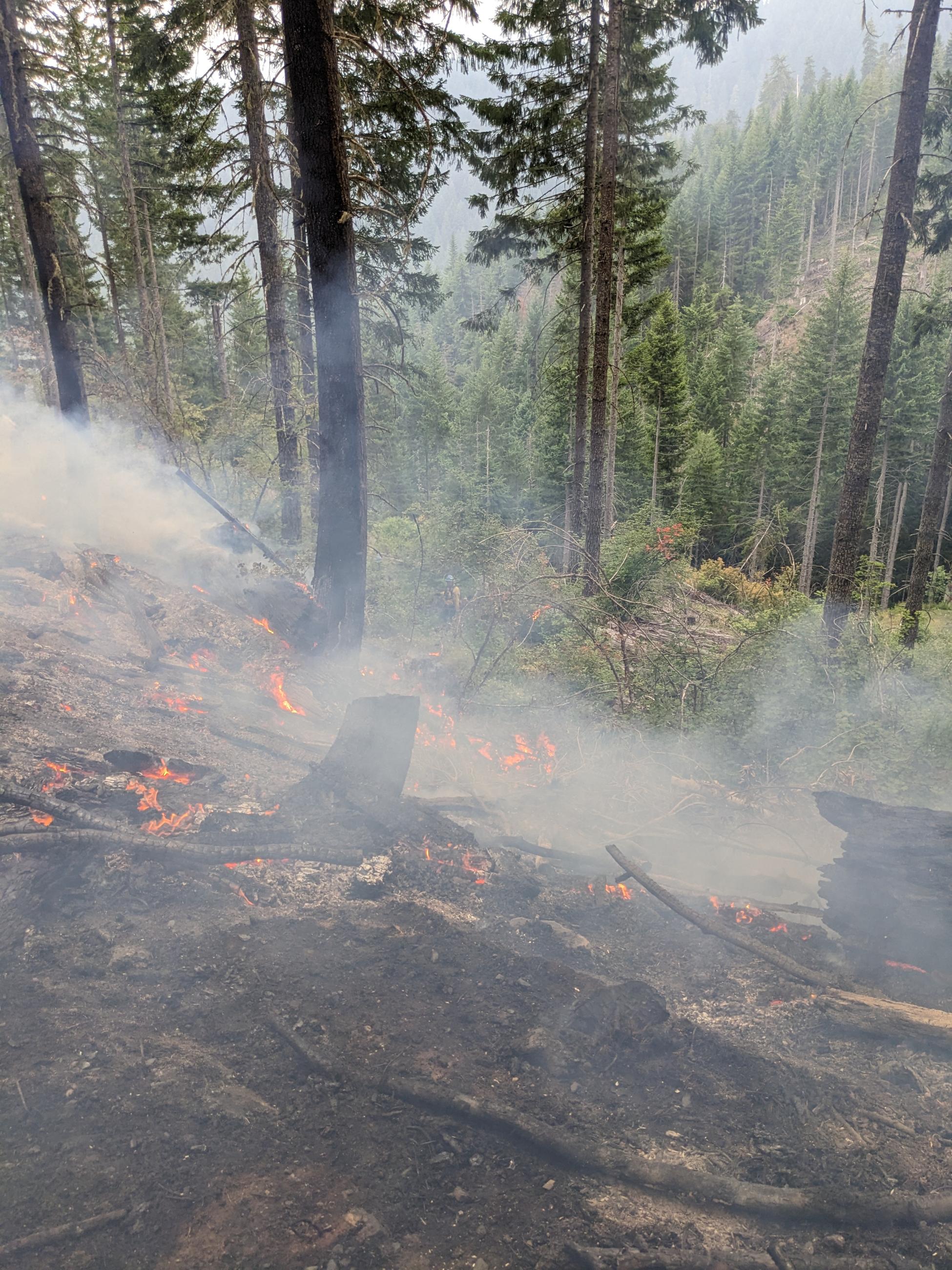 smoking slope in forest