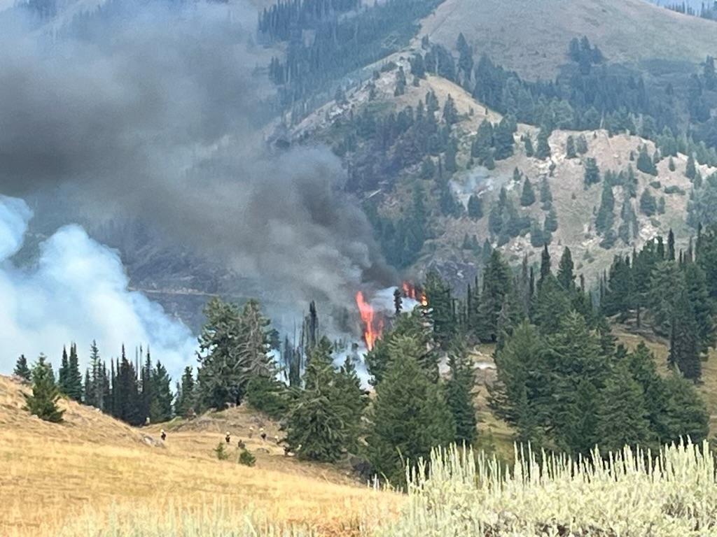 Burn near Horse Mountain August 15