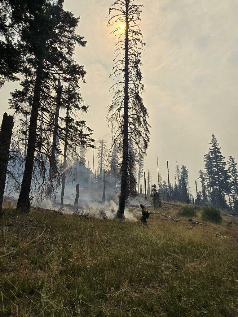 A firefighter is spraying water to cool the edge of the fire where it is burning through brush, grass, and other ground fuels.