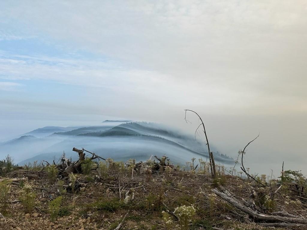 Fog rolling in over the Cottage Grove - Lane 1 Fire 