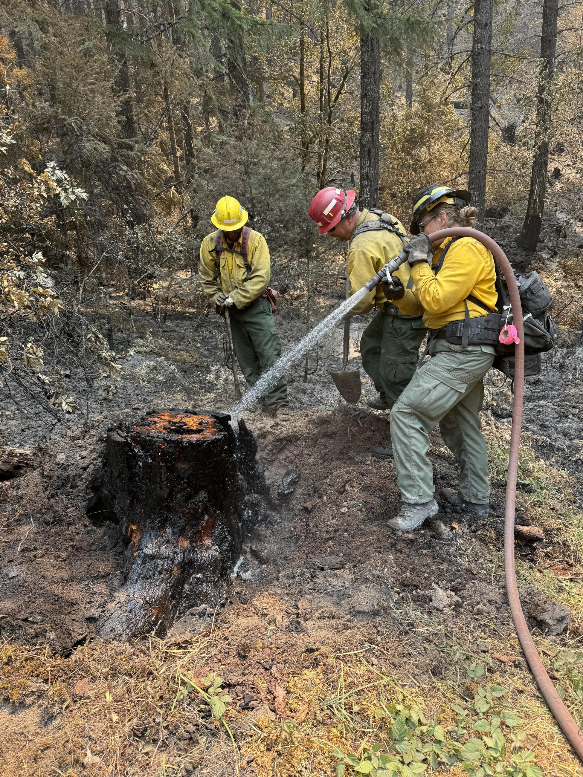 firefighters with hose around smoking stump working