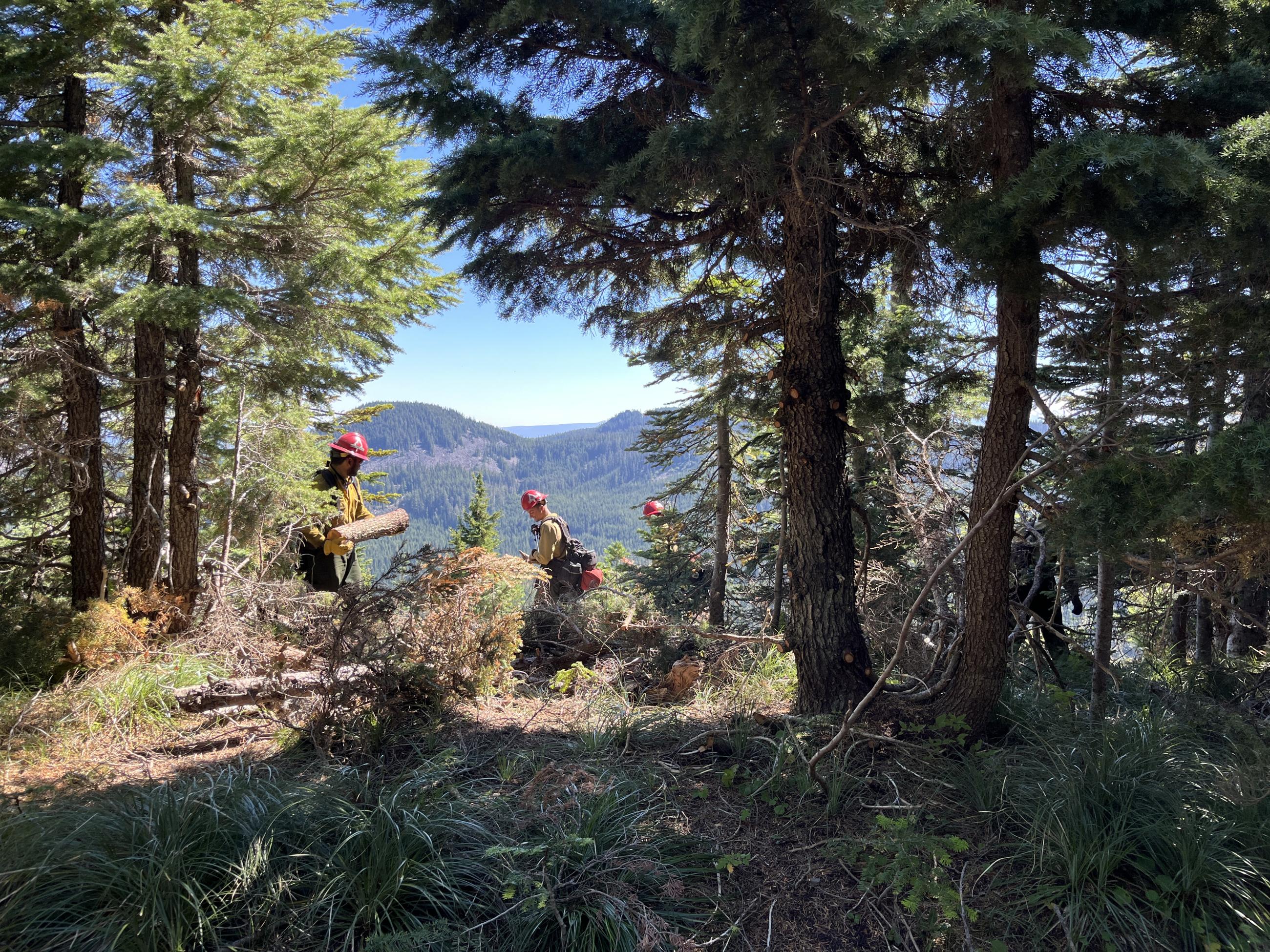 Crew working along ridge