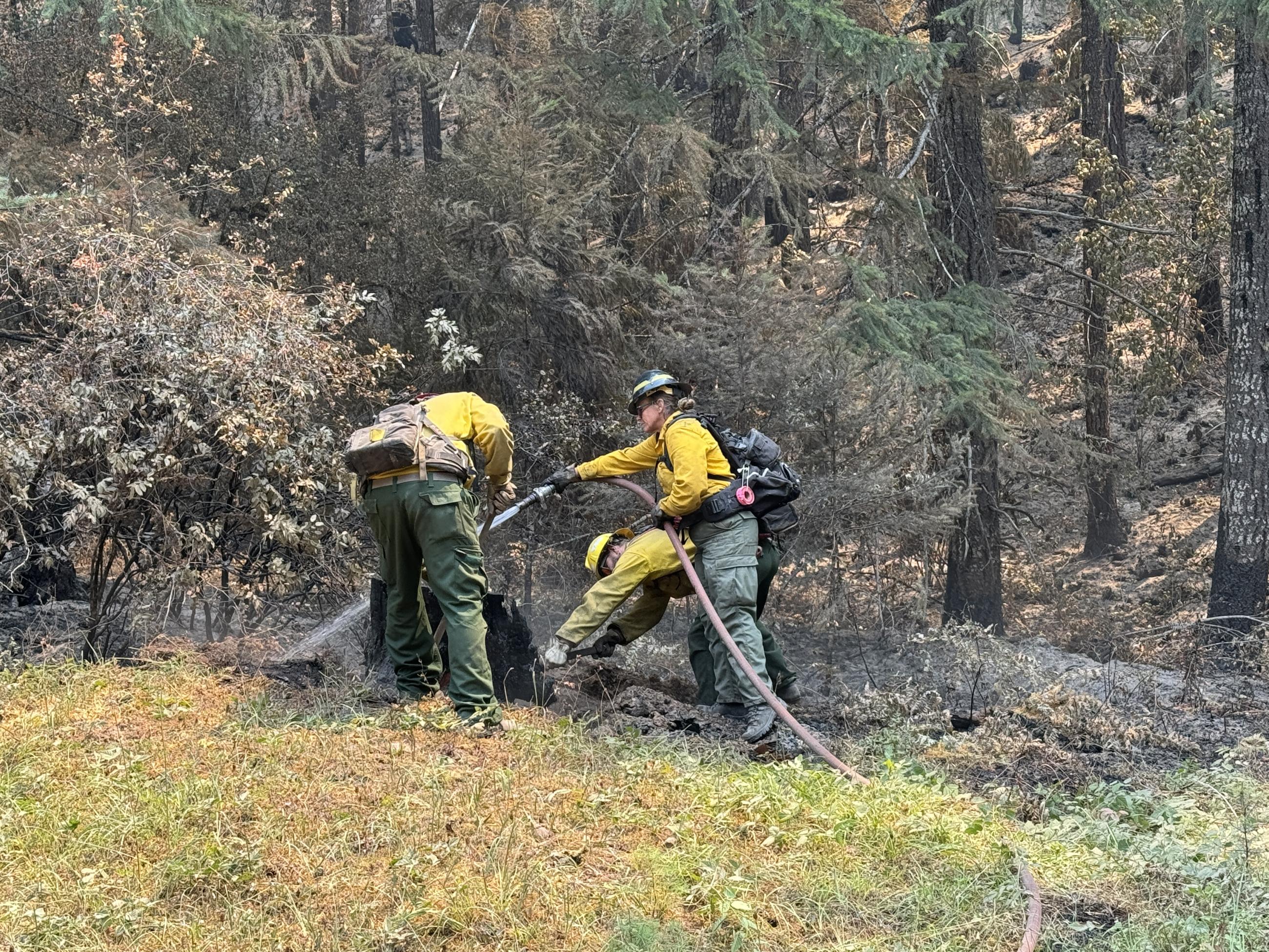 3 firefighters around a stump with hose and tools digging