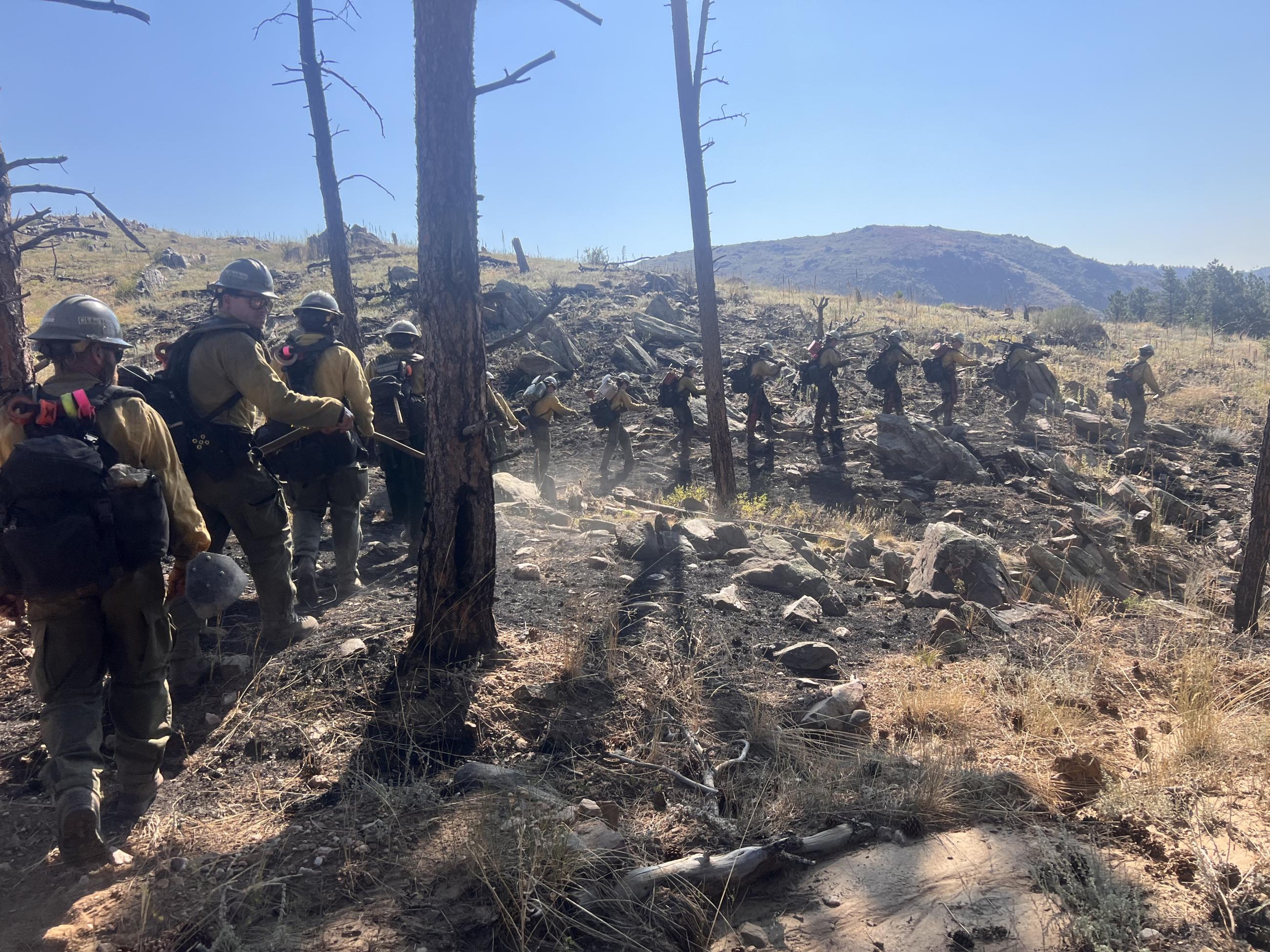 image of the Globe Interagency Hotshot crew 14 people shown