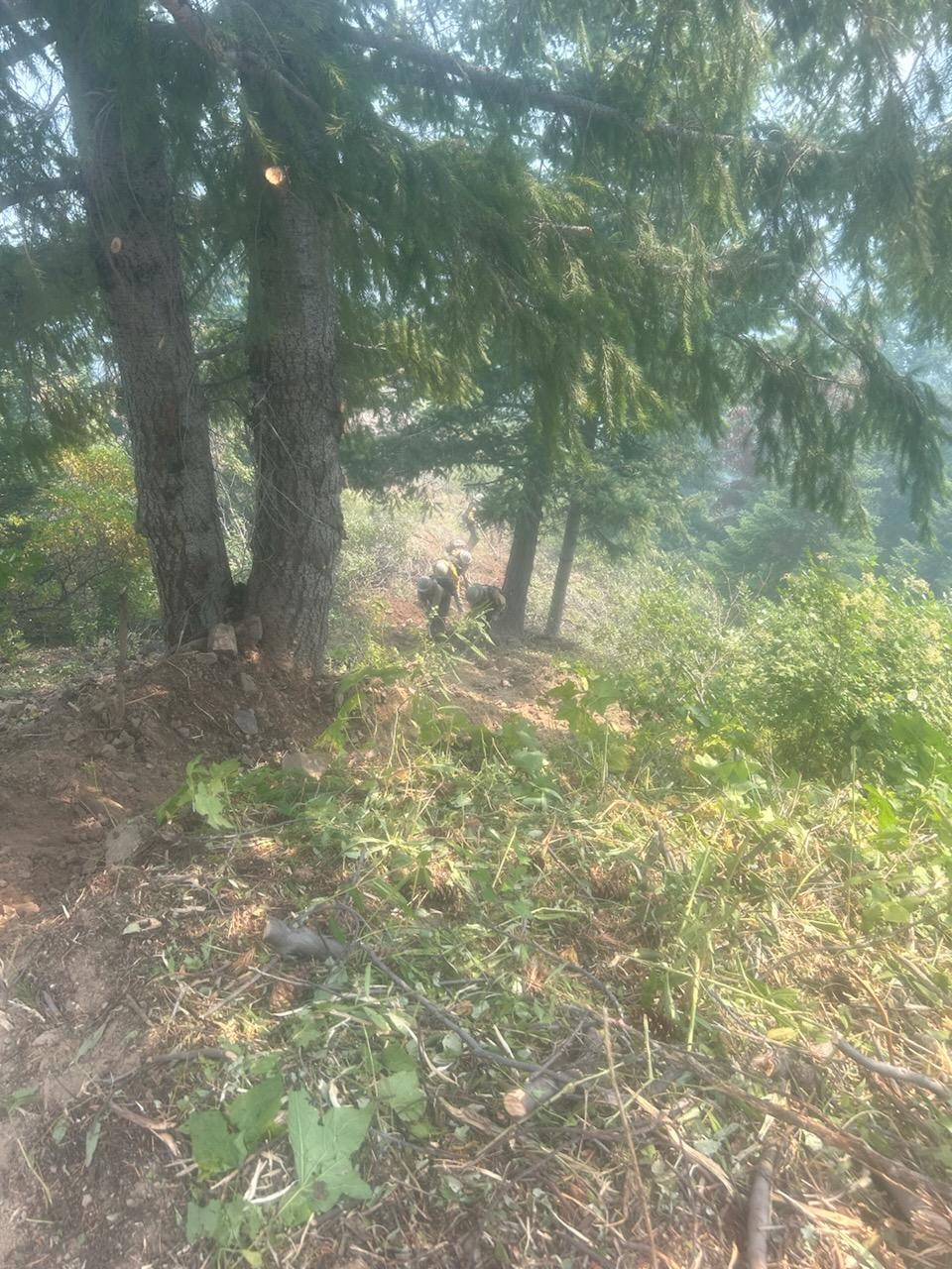 Firefighters on hillside digging line