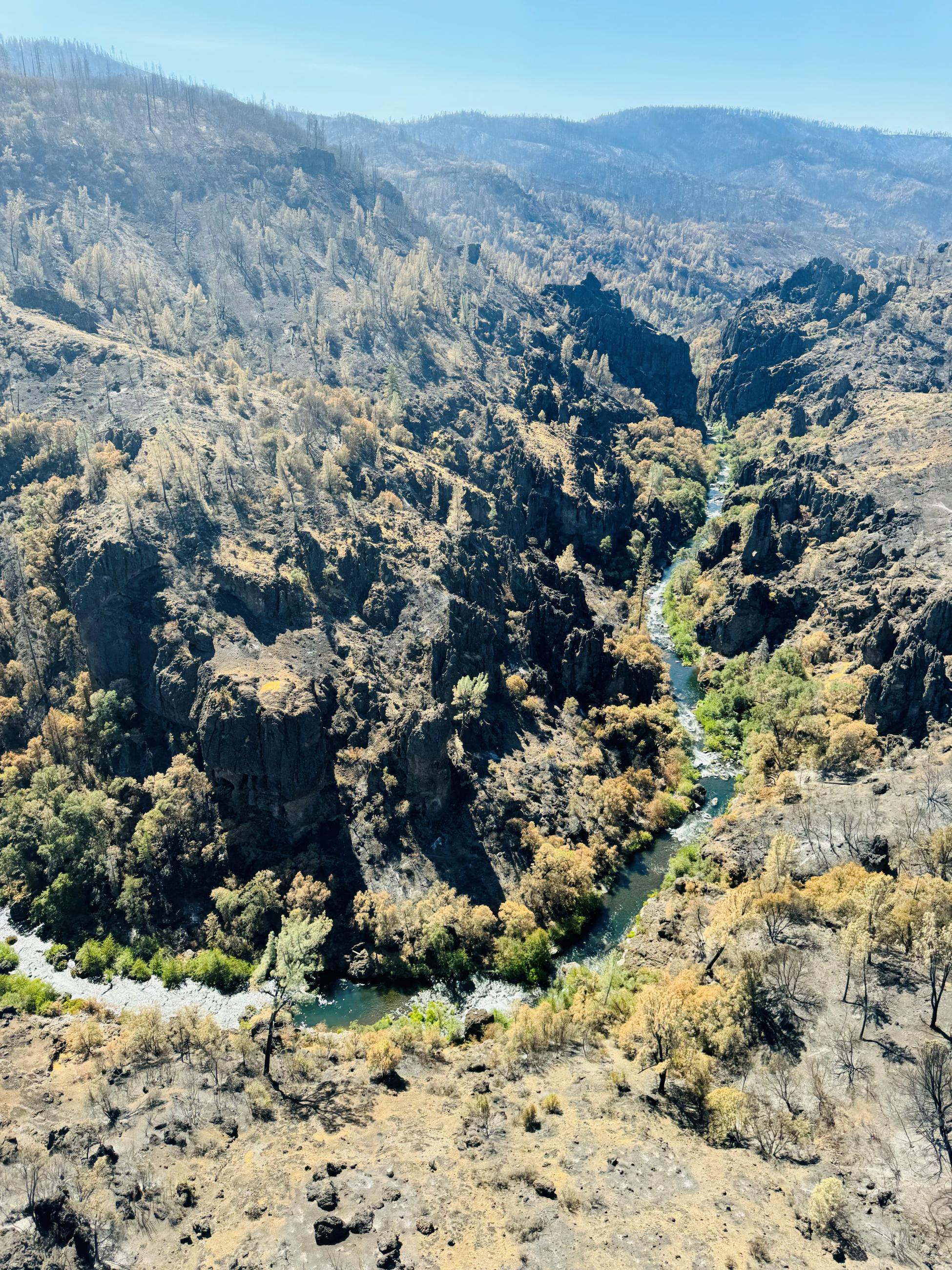 Image showing Aerial View of Deer Creek & Ditch Creek Confluence within Park Fire Perimeter on 8-22-24