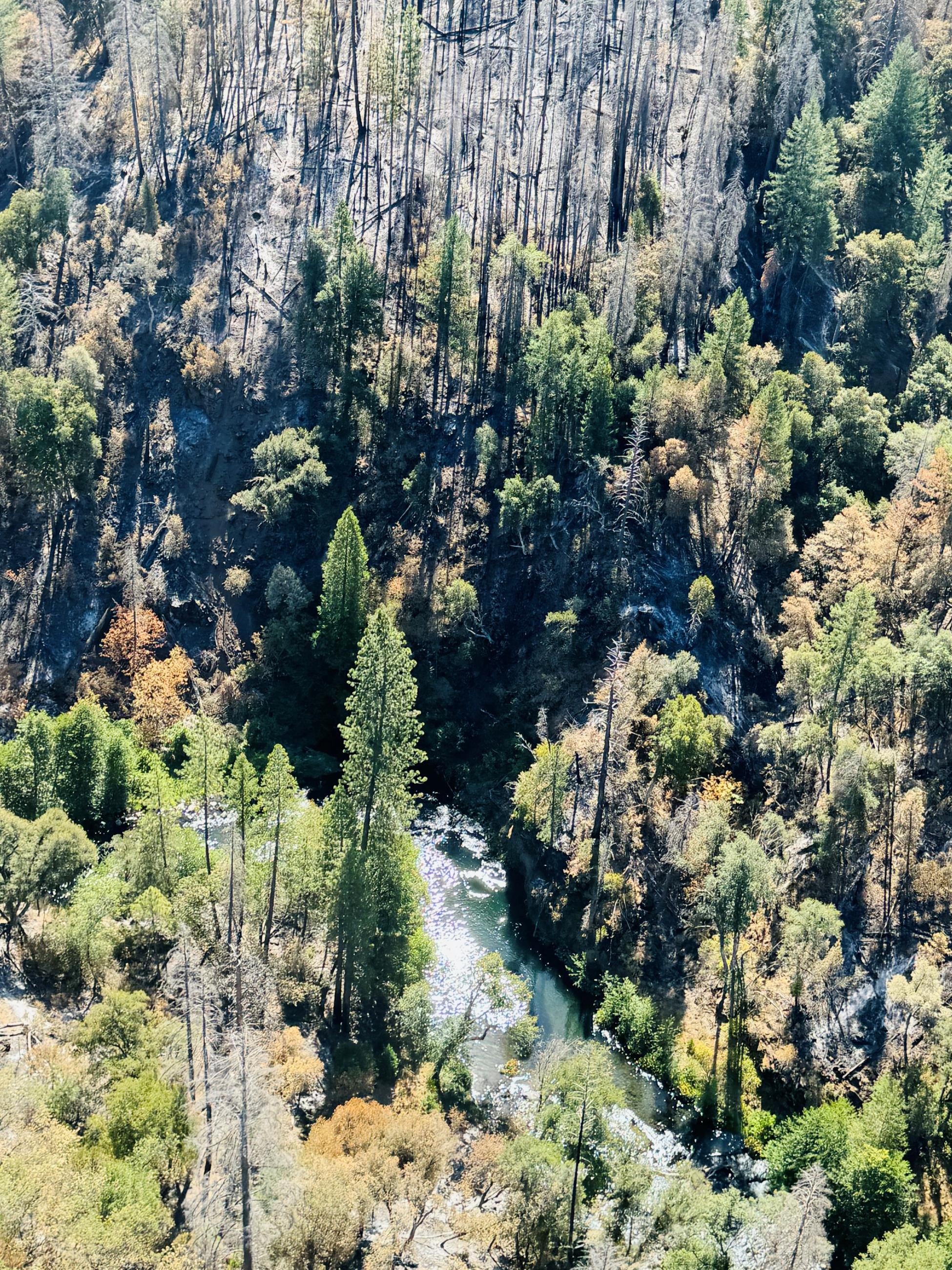Image showing Aerial View of Deer Creek Pool Habitat within Park Fire Perimeter on 8-22-24