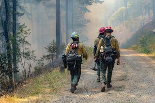 Crews on the line Dixon Fire