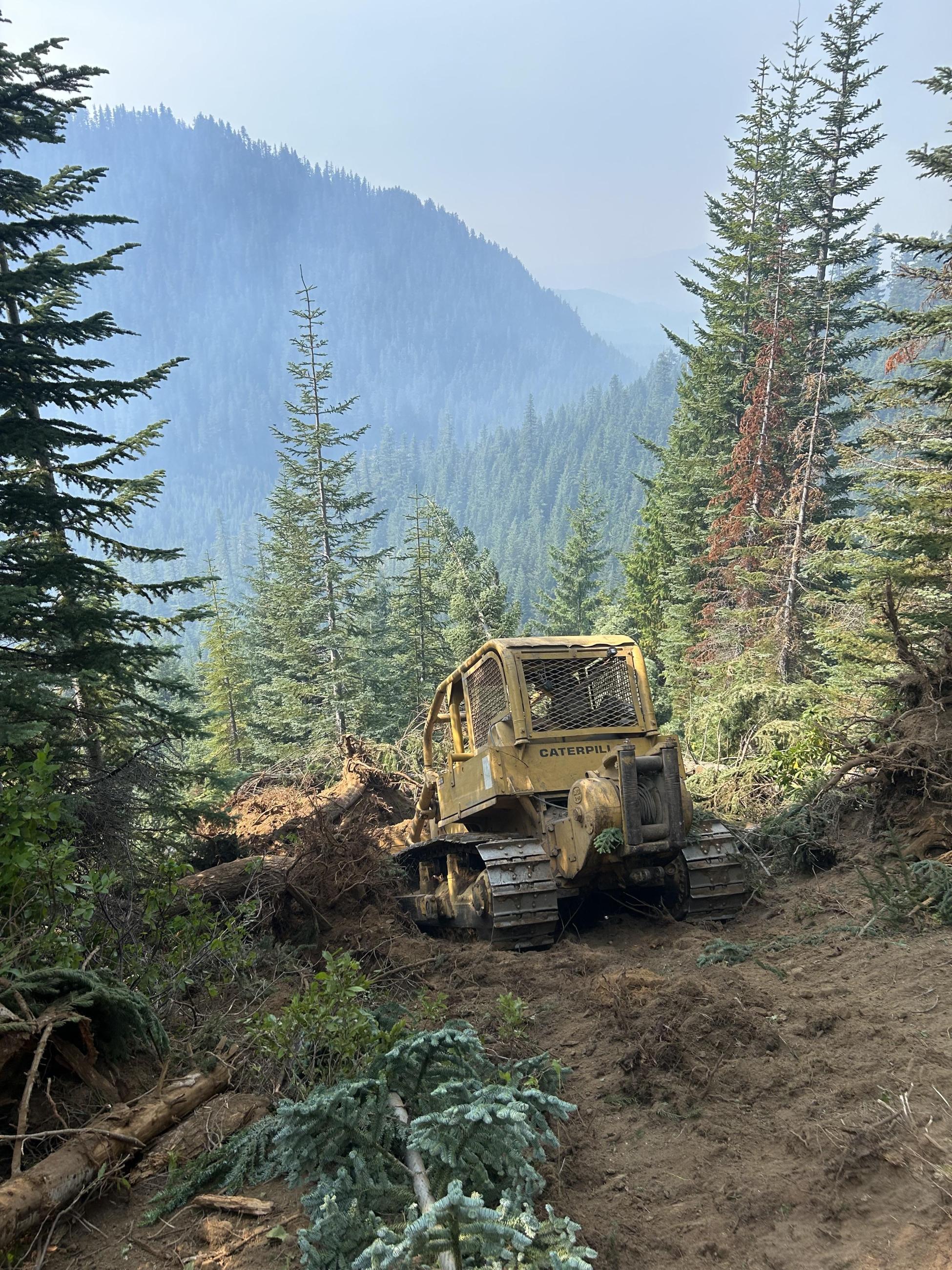 A dozer building line on Willamette Complex South