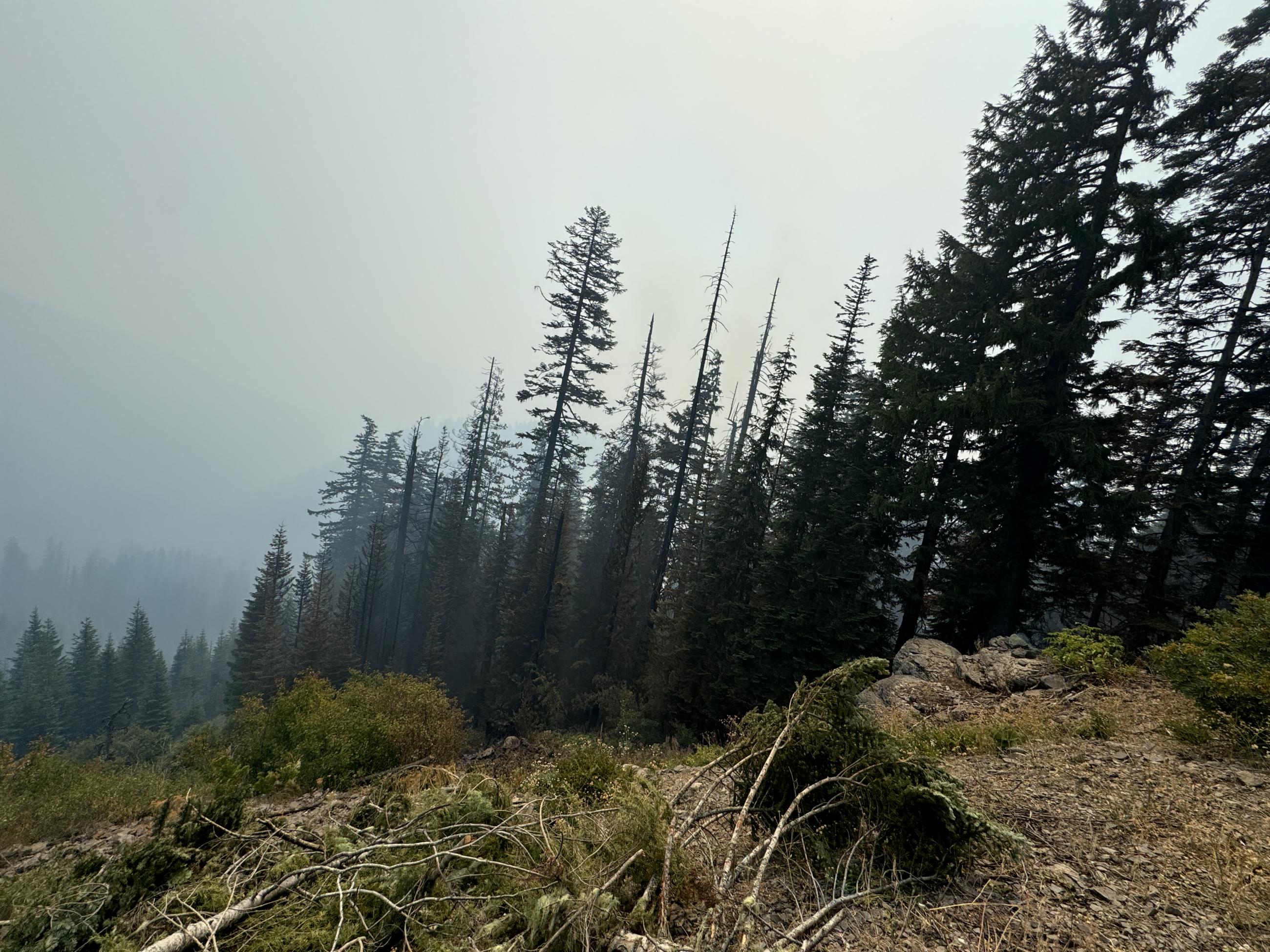 smoke on steep slope