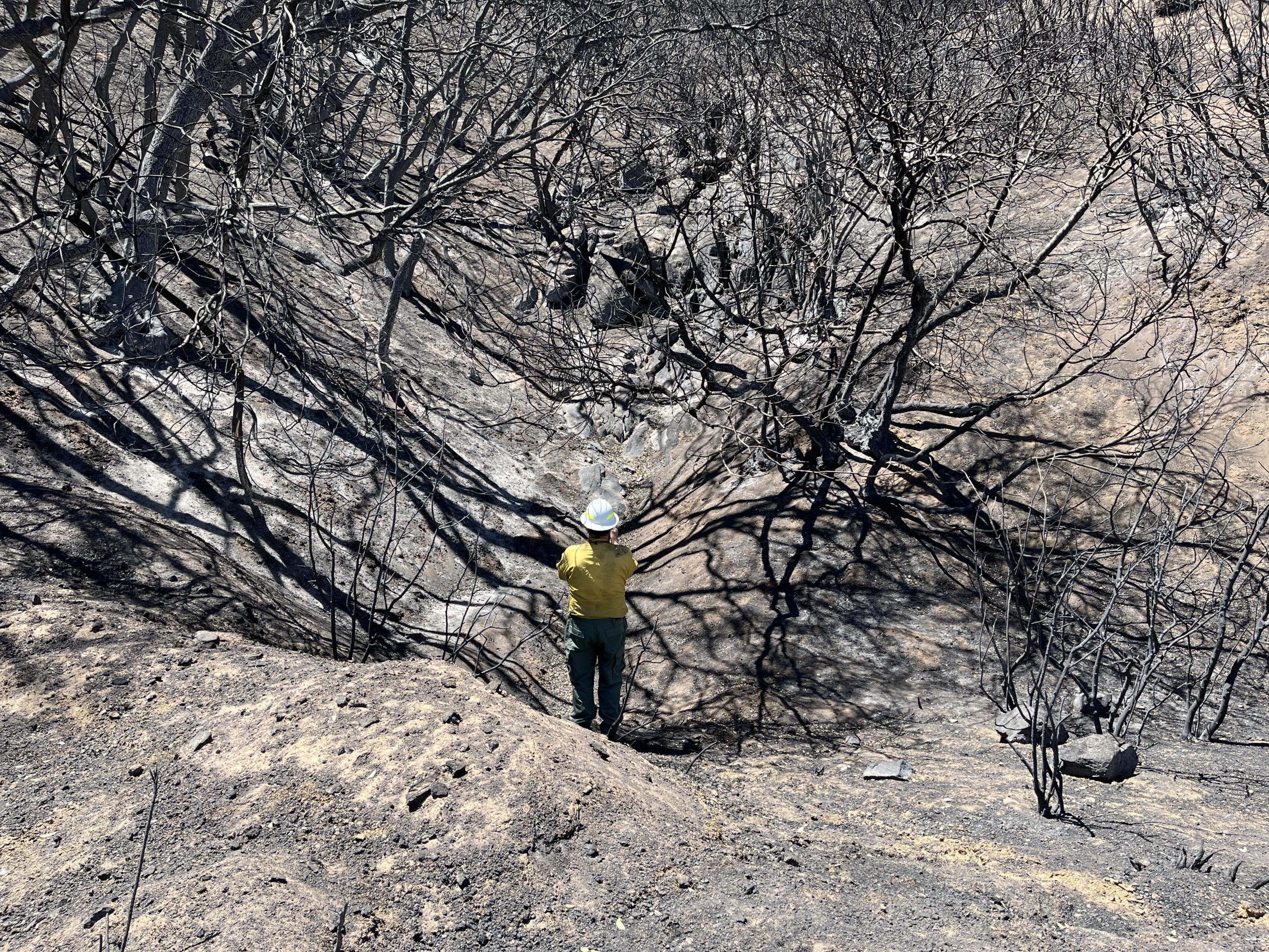 Image showing BAER Geologist Andy Stone Assesses Borel Burn Area