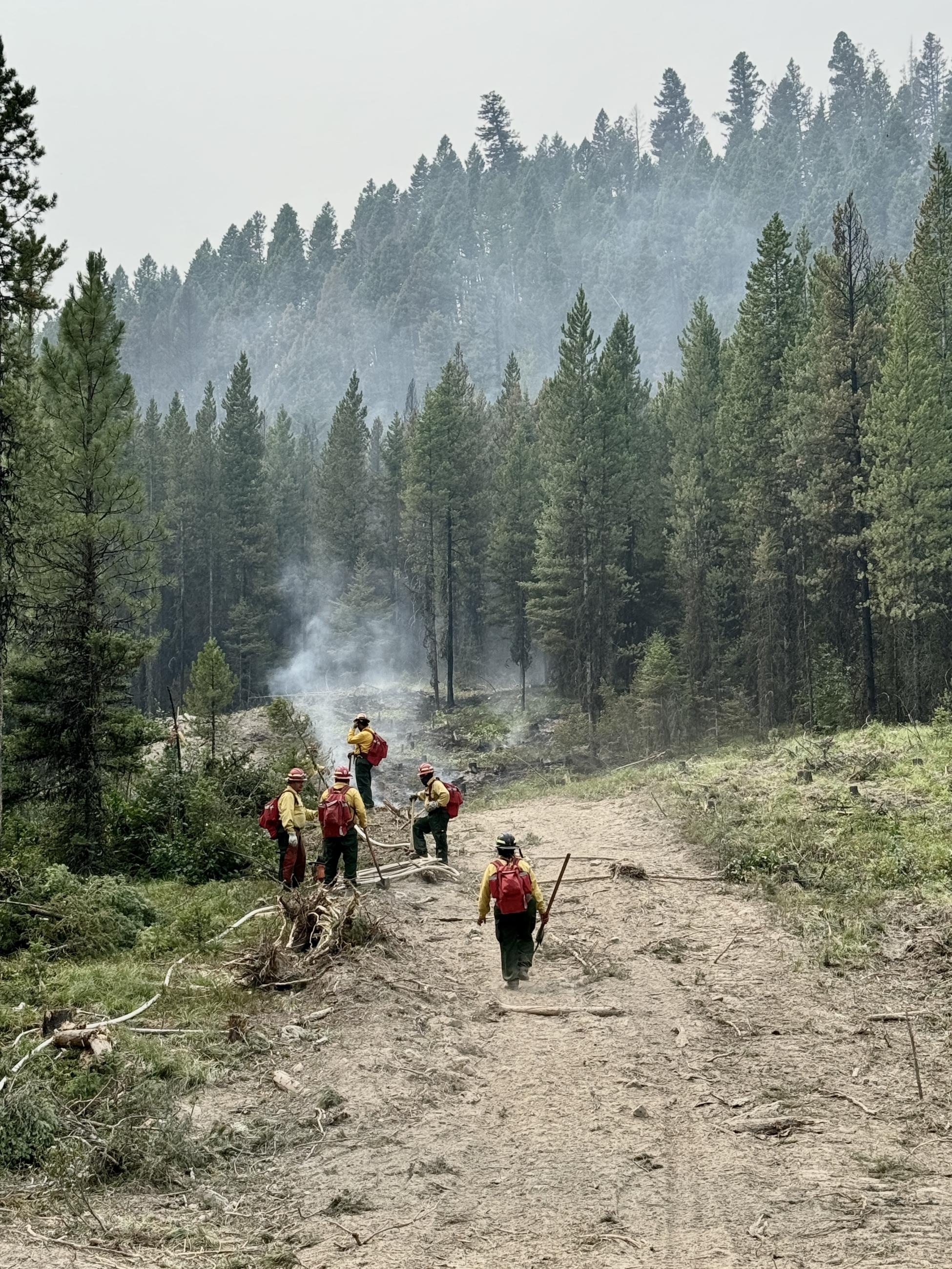 Firefighters standing along a road monitoring fire on the other side of the road.