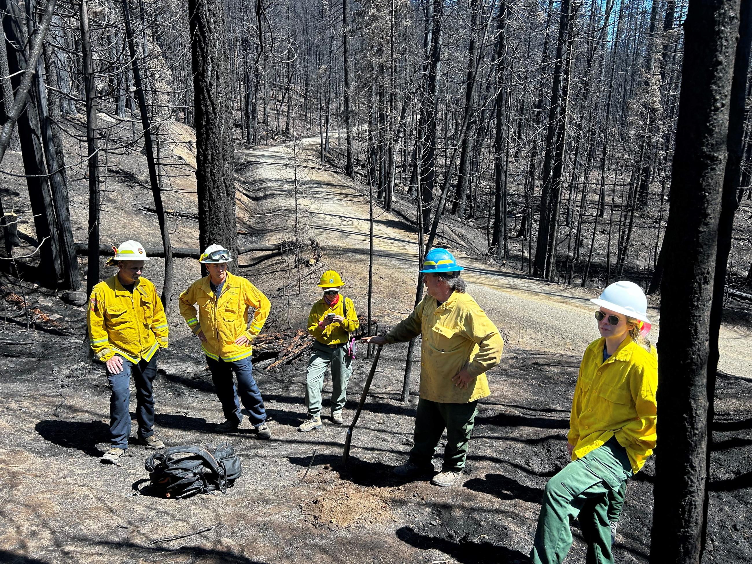 Image showing BAER Specialists and CA WERT Specialists Assess Soil Burn Severity within the Park Fire