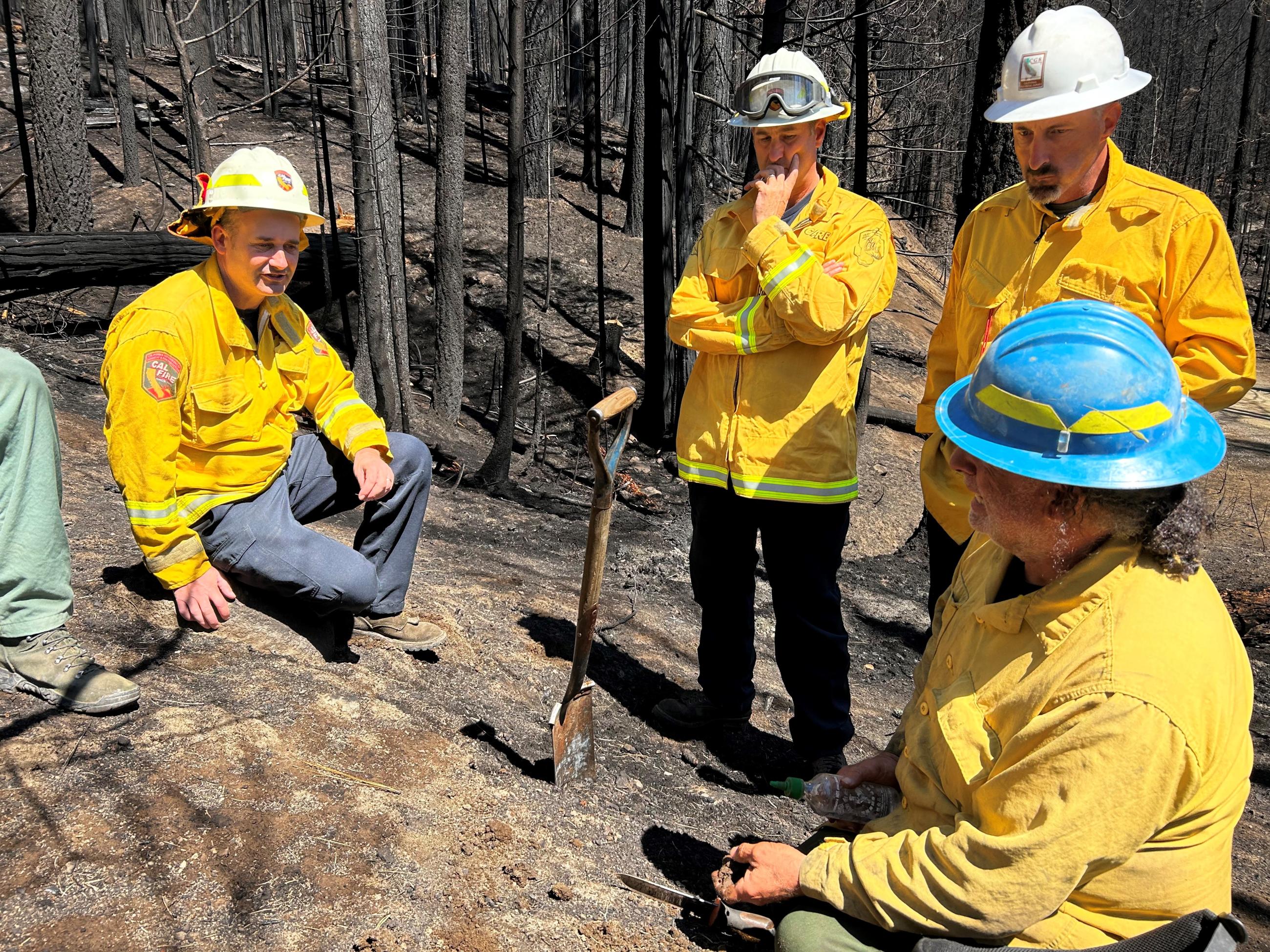 Image Showing BAER Specialists and CA WERT Specialists Assess Soil Burn Severity within the Park Fire