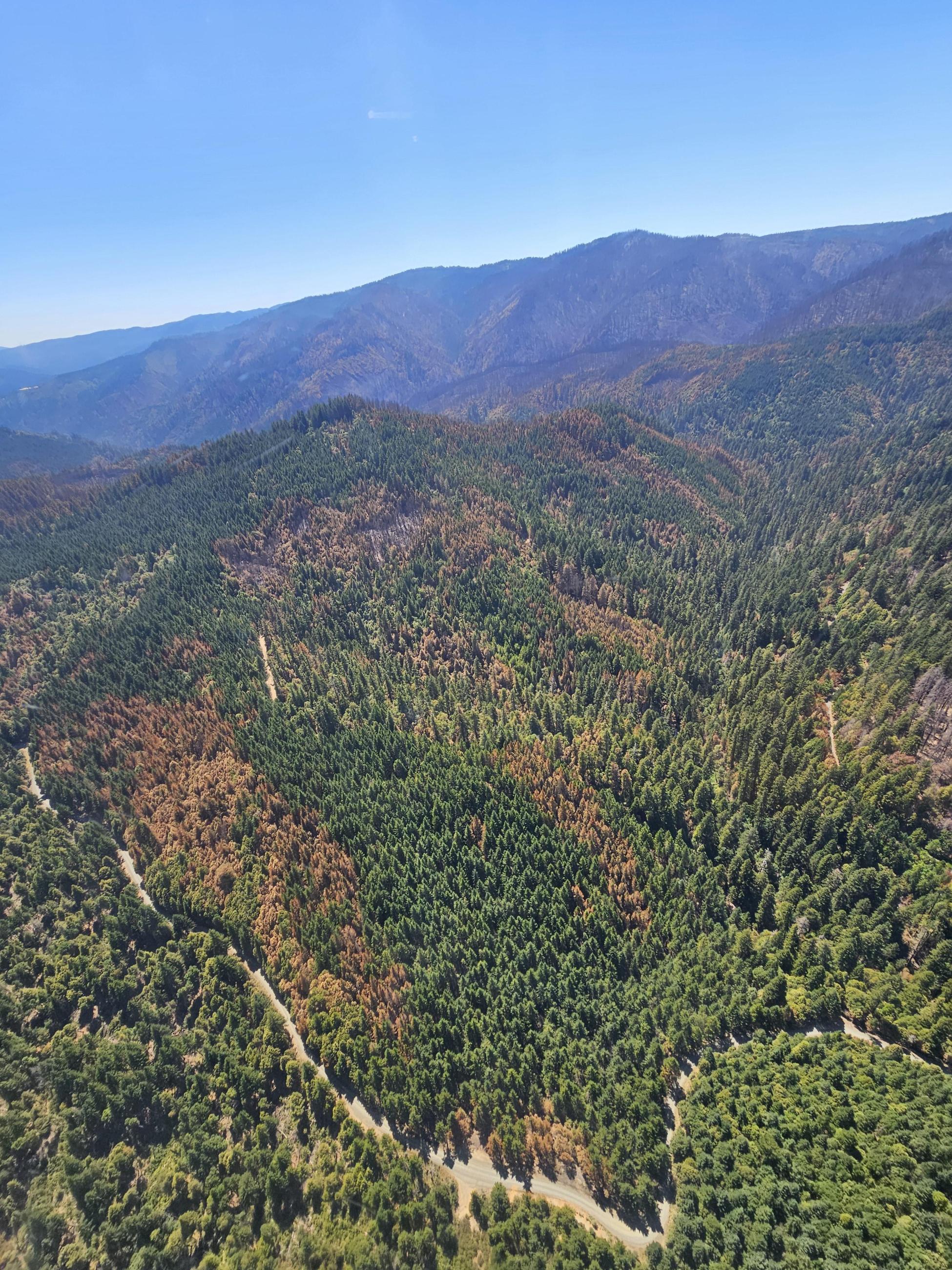 Aerial view of the Hill Fire 8/4/2024