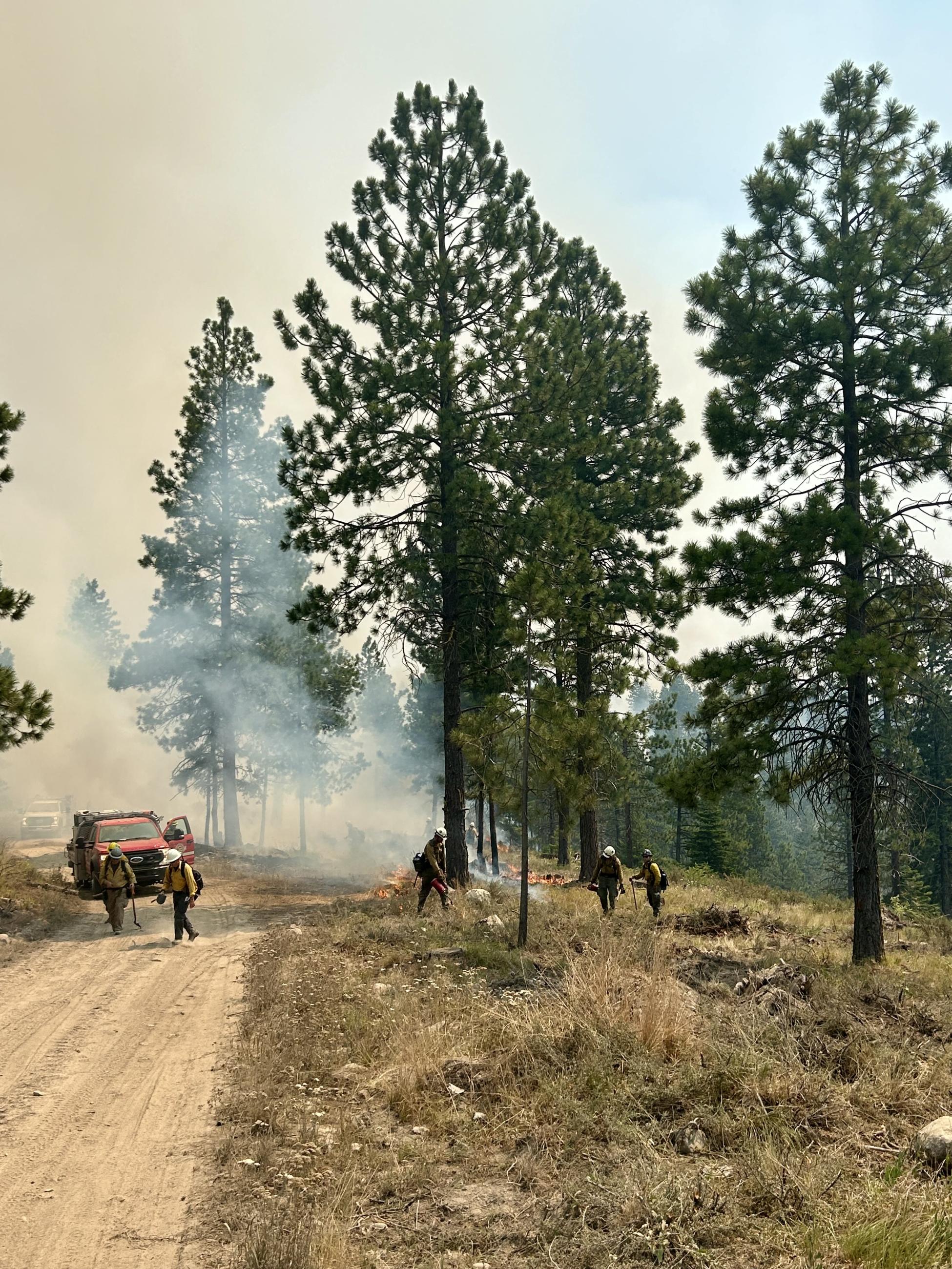 Firefighters on the line