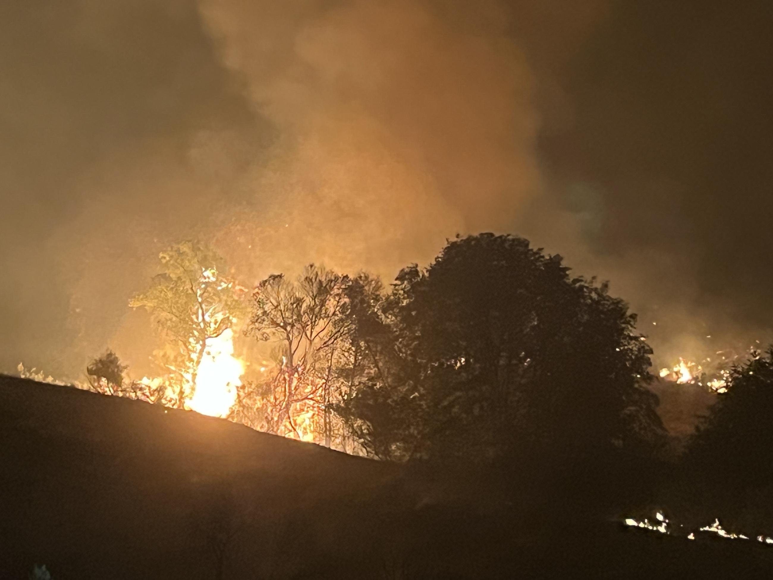 Fire at night behind trees on a hillside