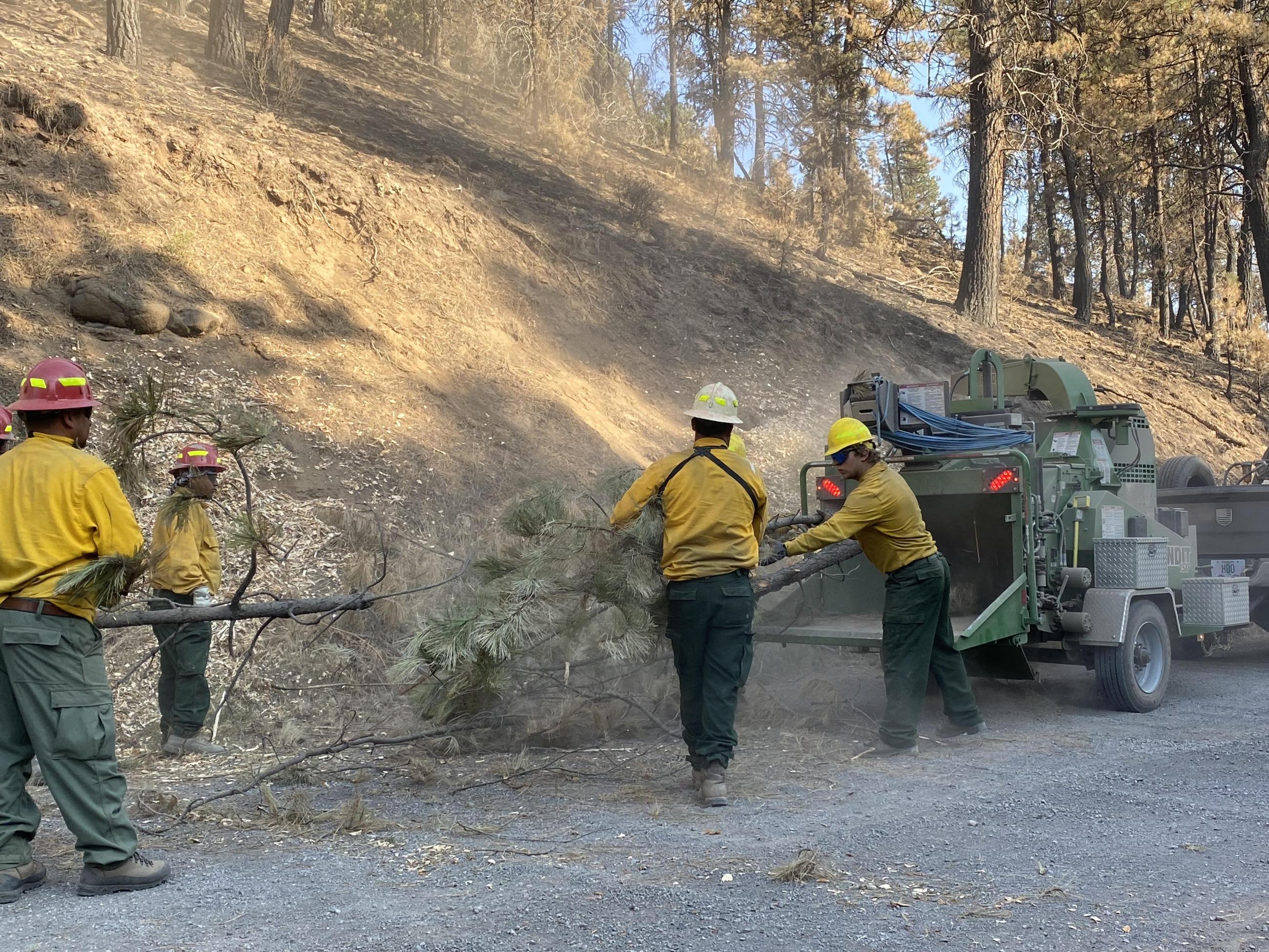 Fire Crew Chipping on Falls & Telephone Fires