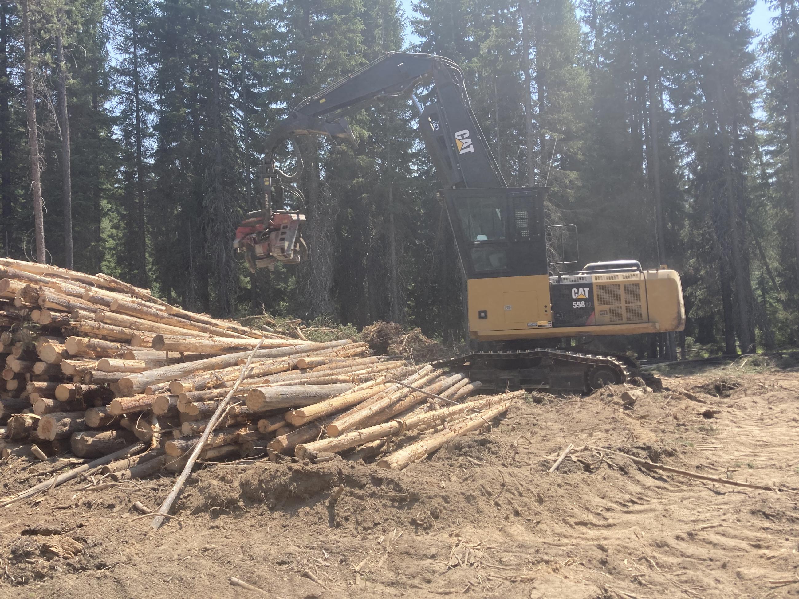 Shaded fuel break heavy equipment moving logs