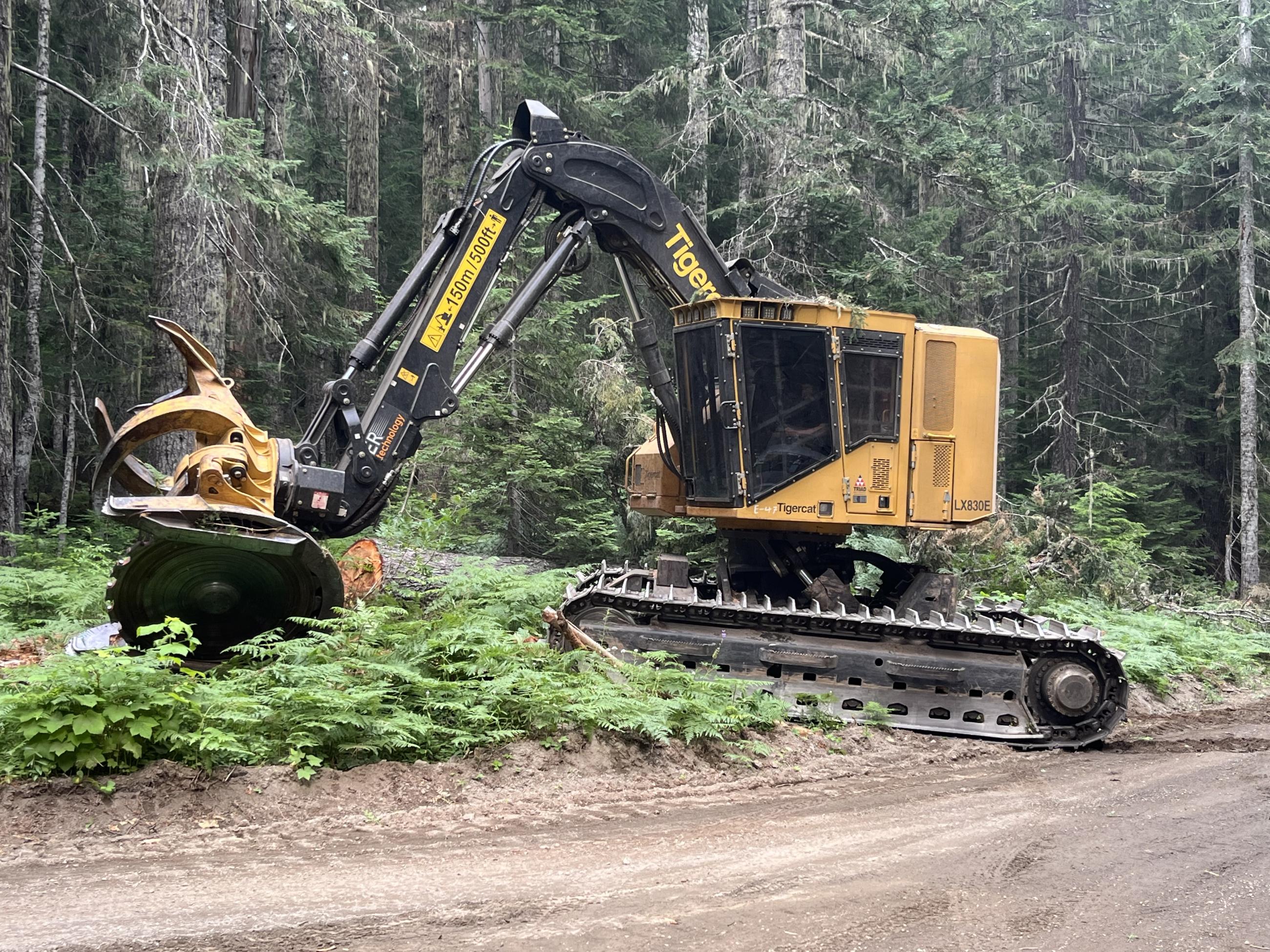 heavy equipment cutting trees on primary line