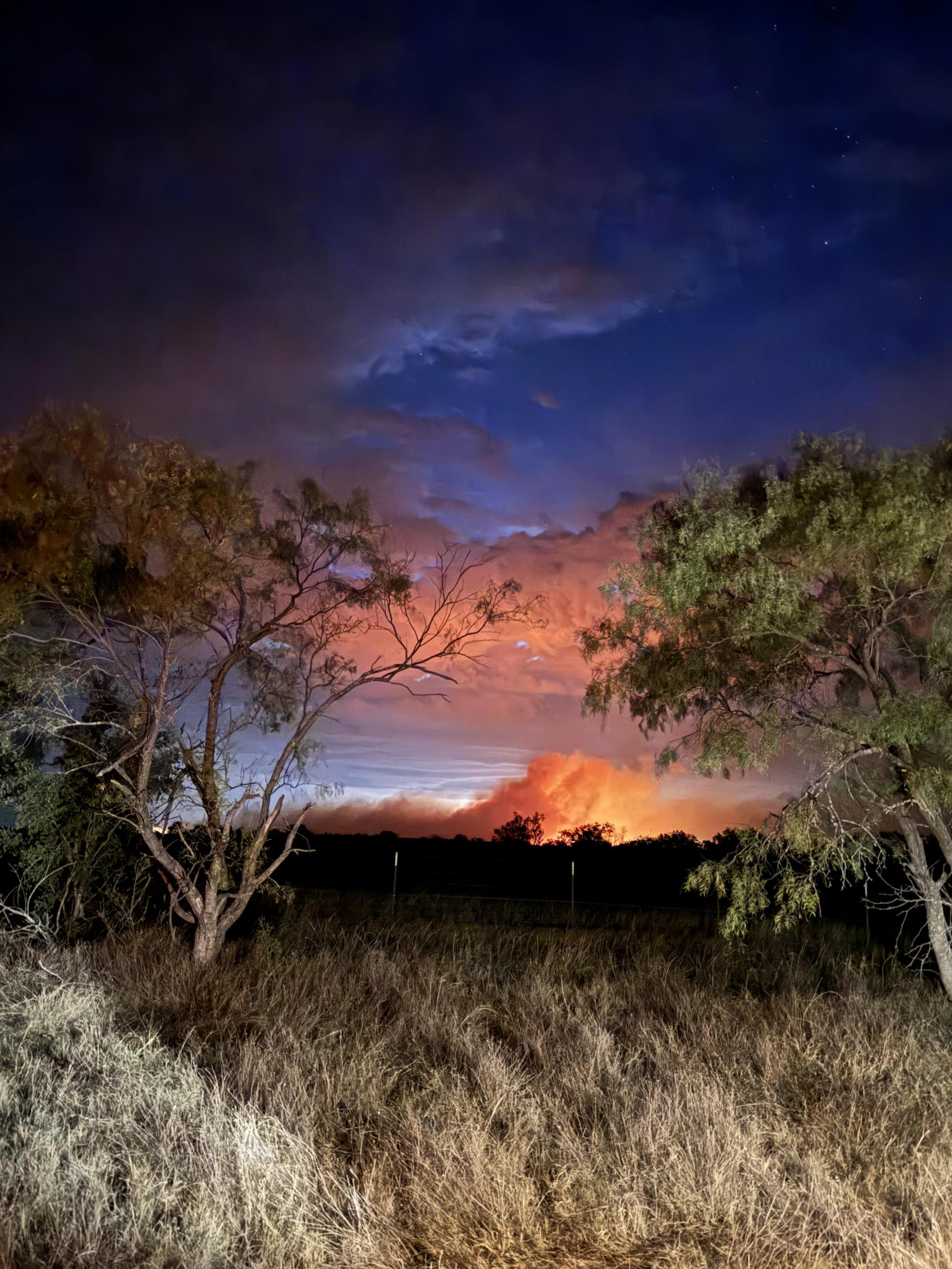 Nighttime photo of fire activity in the distance, in the foreground there is unburned fuel of grass and small trees. The sky is dark and stormy with the underside of the clouds reflecting orange and red from the fire activity on the ground. 