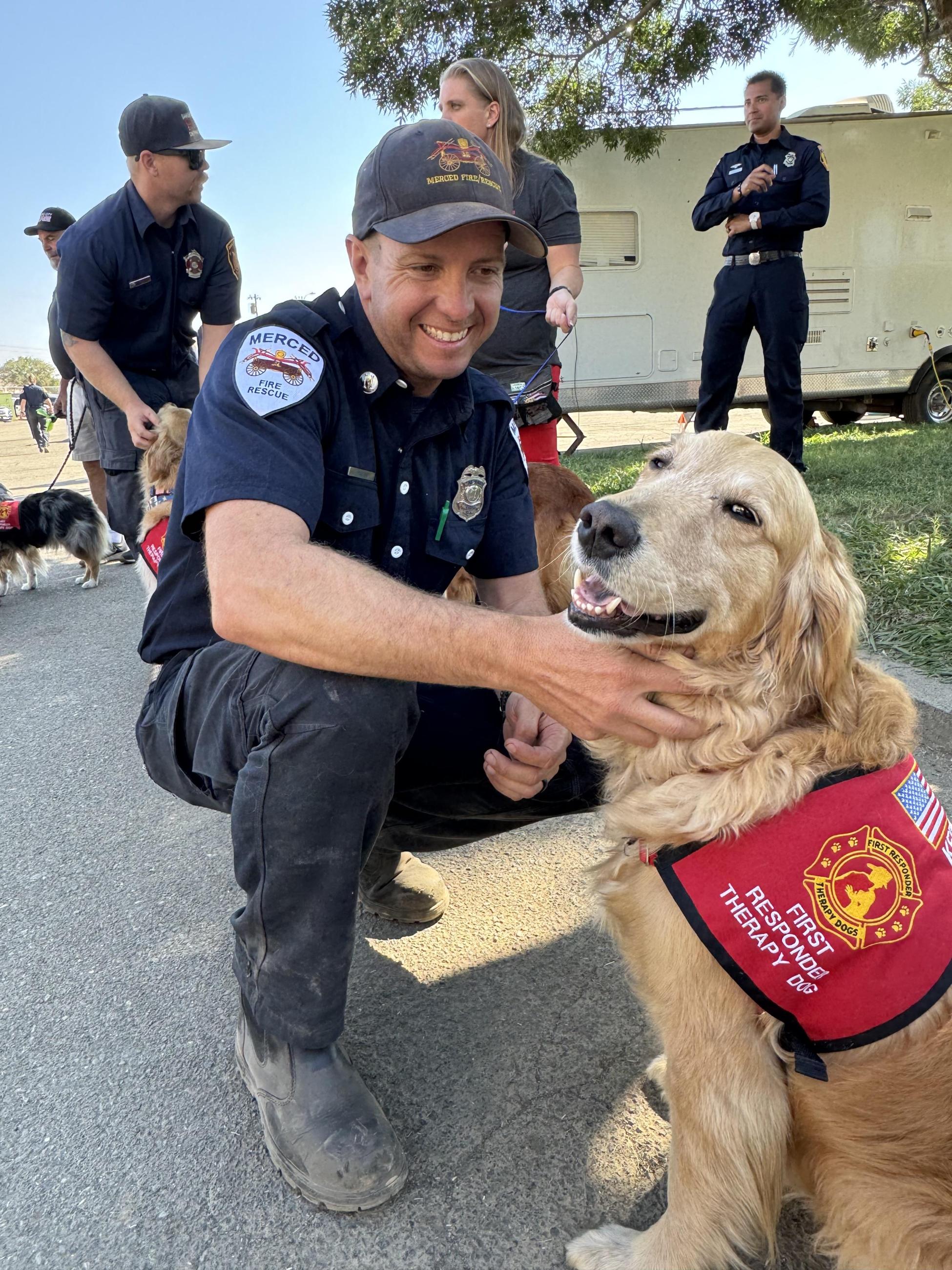 Golden retriever wearing a red "therapy dog" vest is pet by a fire/rescue worker